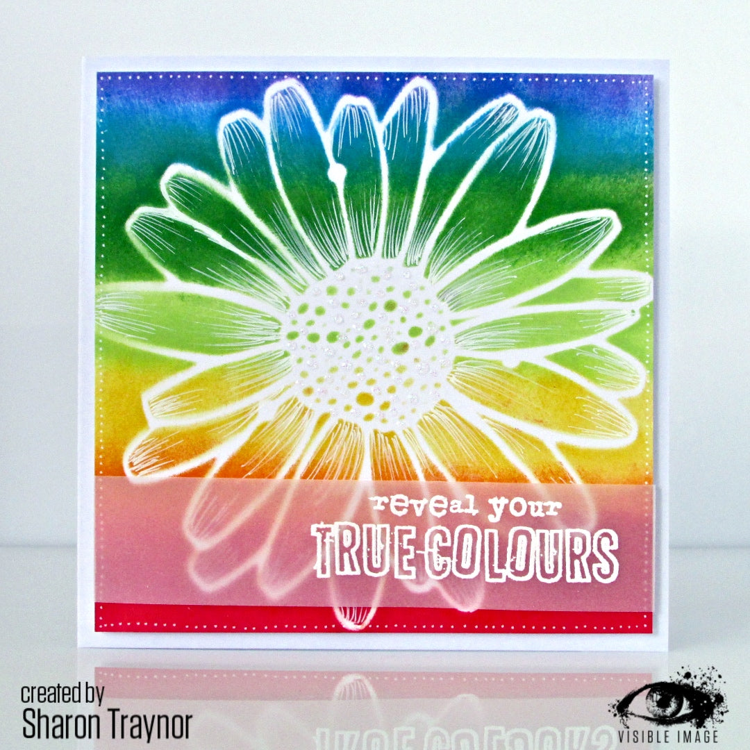 Visible Image Daisy Daisy Stencil - 6 x 6