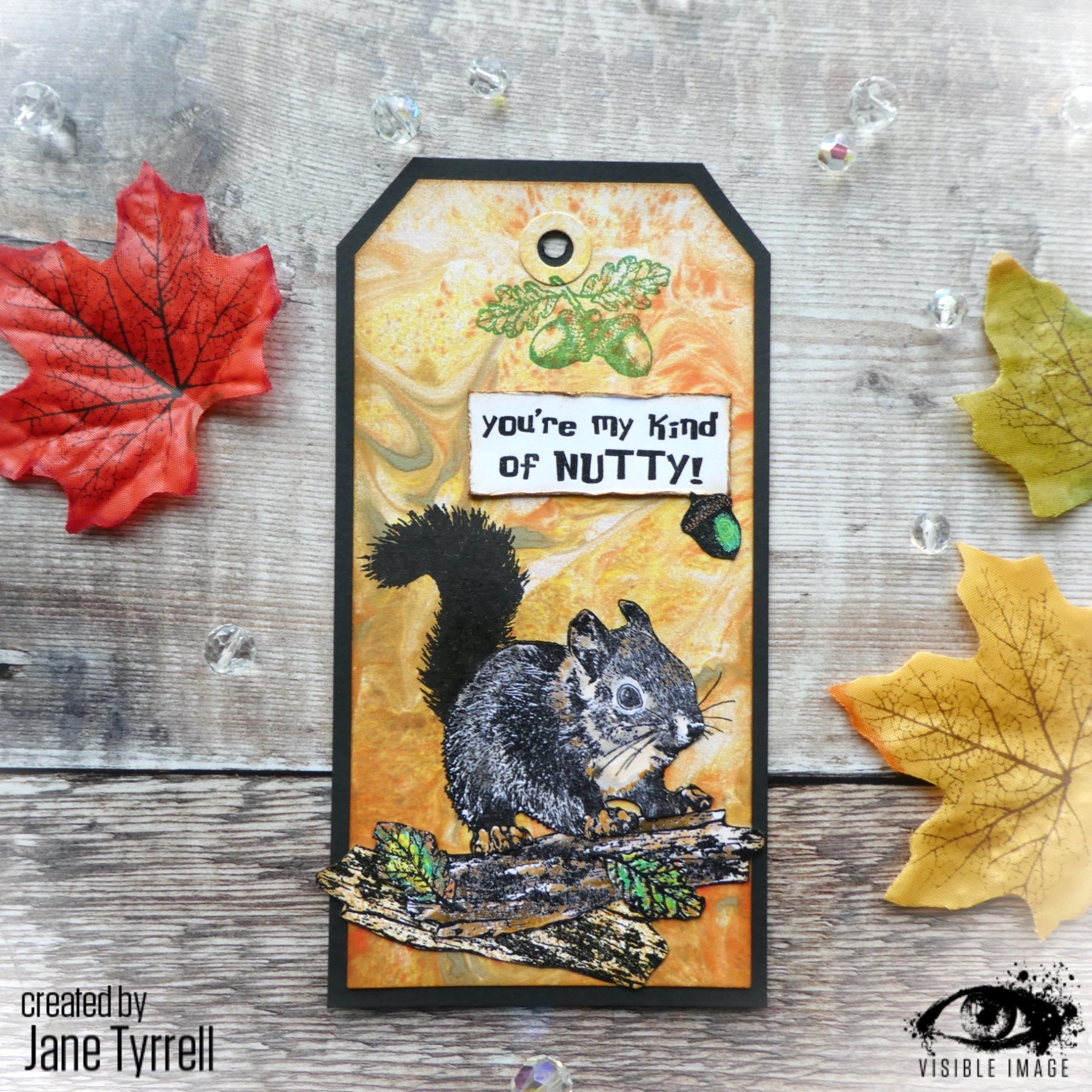 Visible Image Nuts About Squirrels - A6 Stamp Set