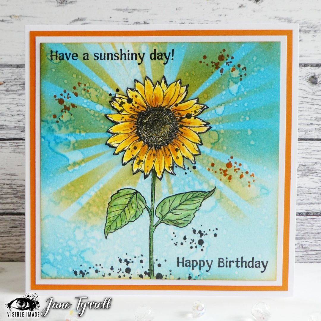 Visible Image Sunflower Grunge - A6 Stamp Set