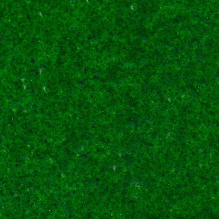#colour_Evergreen
