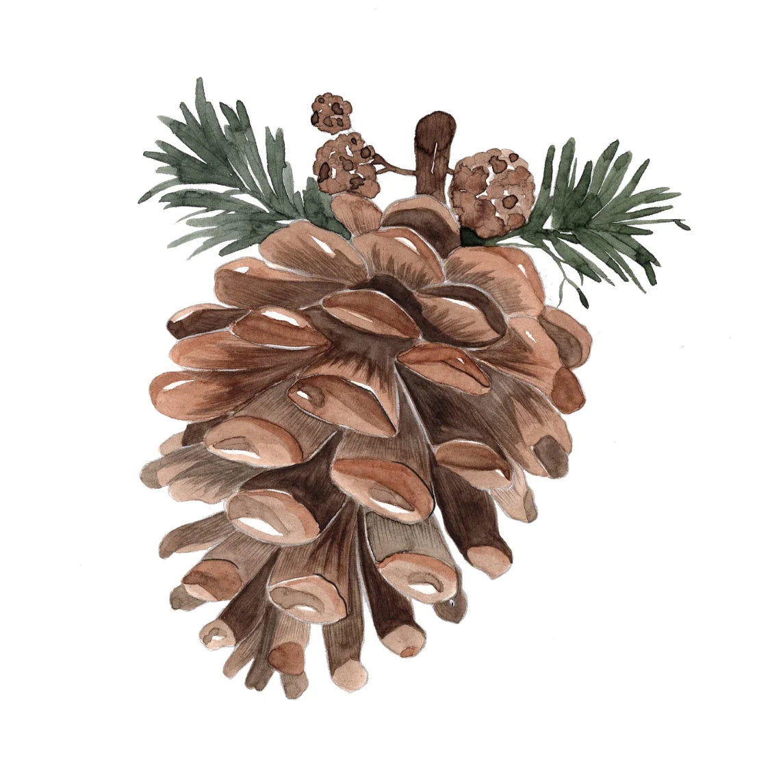 Willow Wolfe - Watercolor Workbook: Winter Glow by Willow & Nya Wolfe