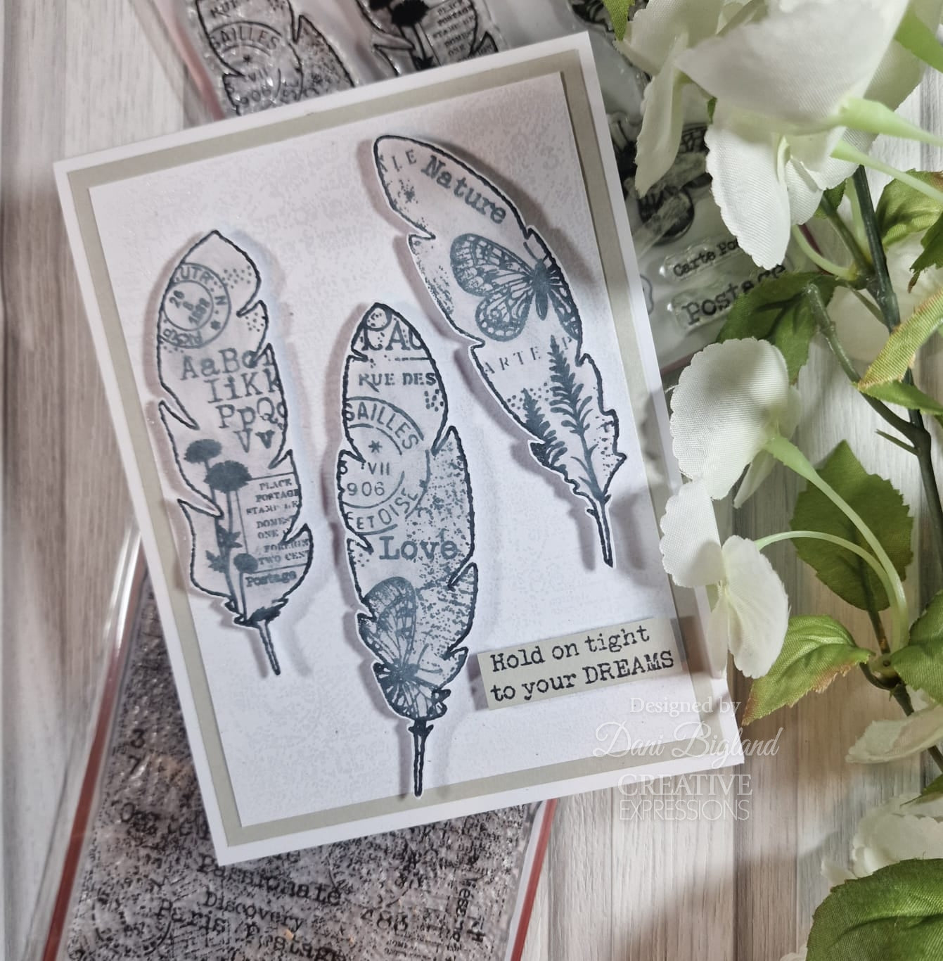 Woodware Clear Singles Paper Feathers 4 in x 6 in Stamp Set