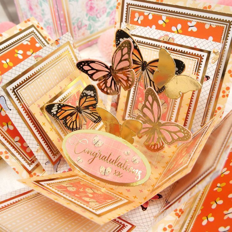 Exploding Boxes Project Kit - Butterfly Box