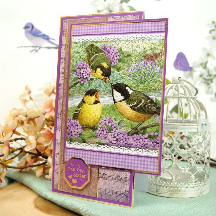 The Little Book Of Delightful Birds
