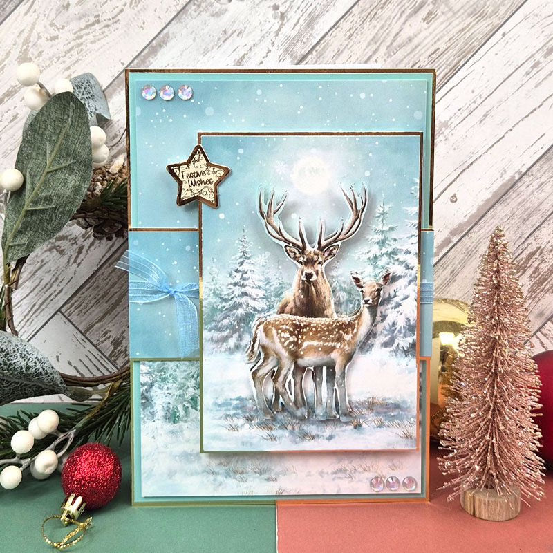 The Little Book of A Winter Wonderland