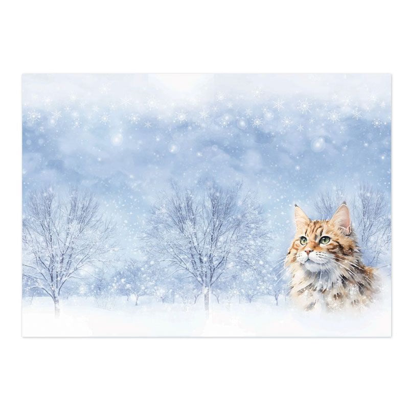 A Purr-fect Christmas Luxury Topper Set