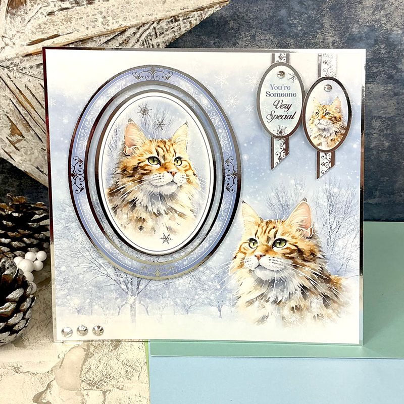 A Purr-fect Christmas Luxury Topper Set