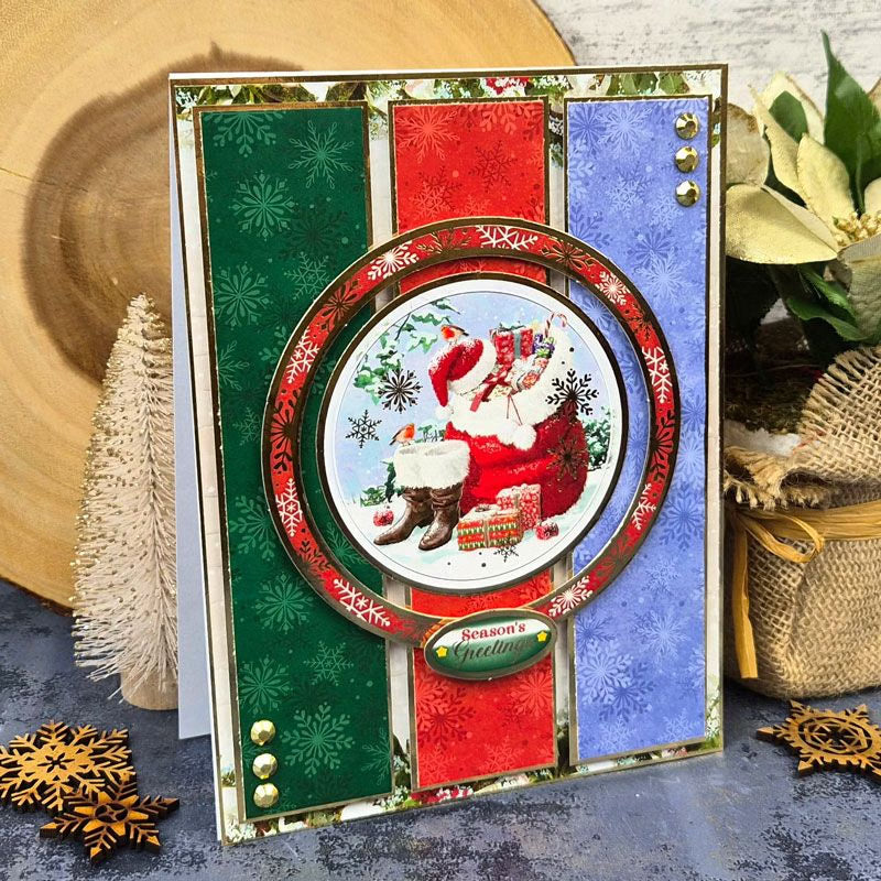 Christmas Robins Inserts & Papers