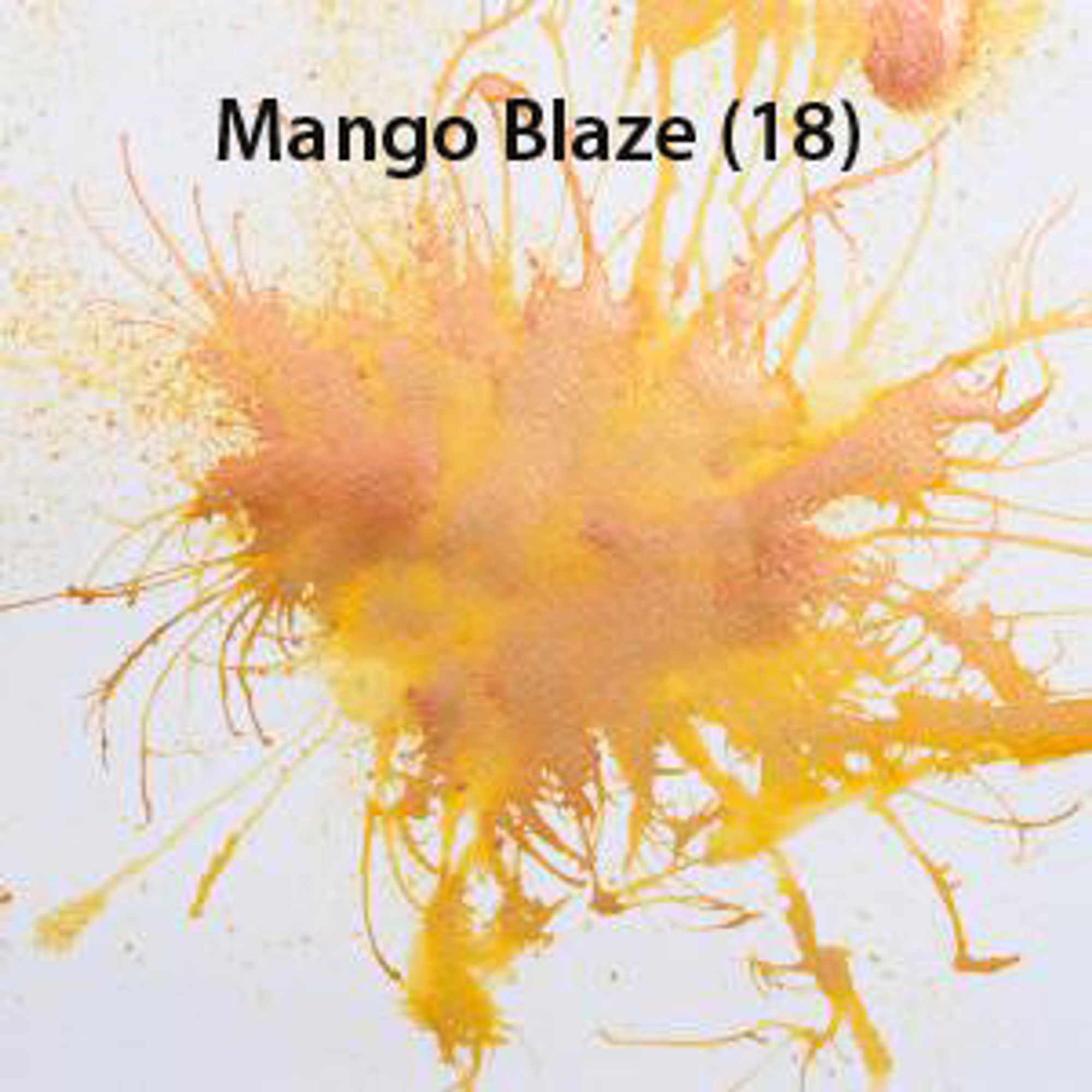 #colour_mango blaze