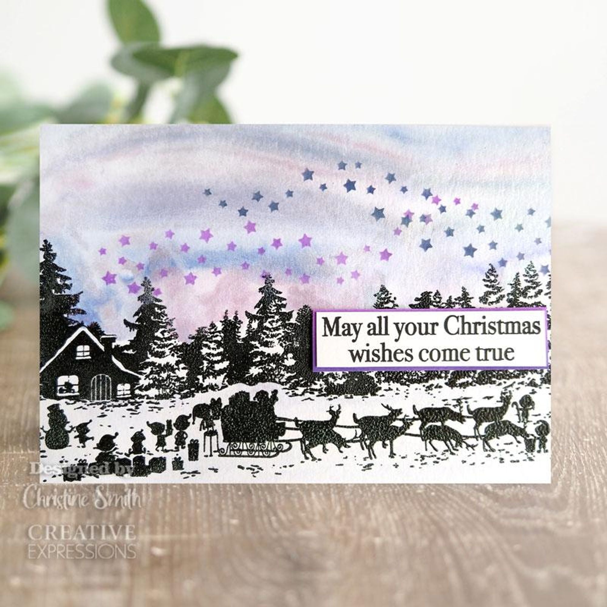 Creative Expressions Winter Elements DL Stencil