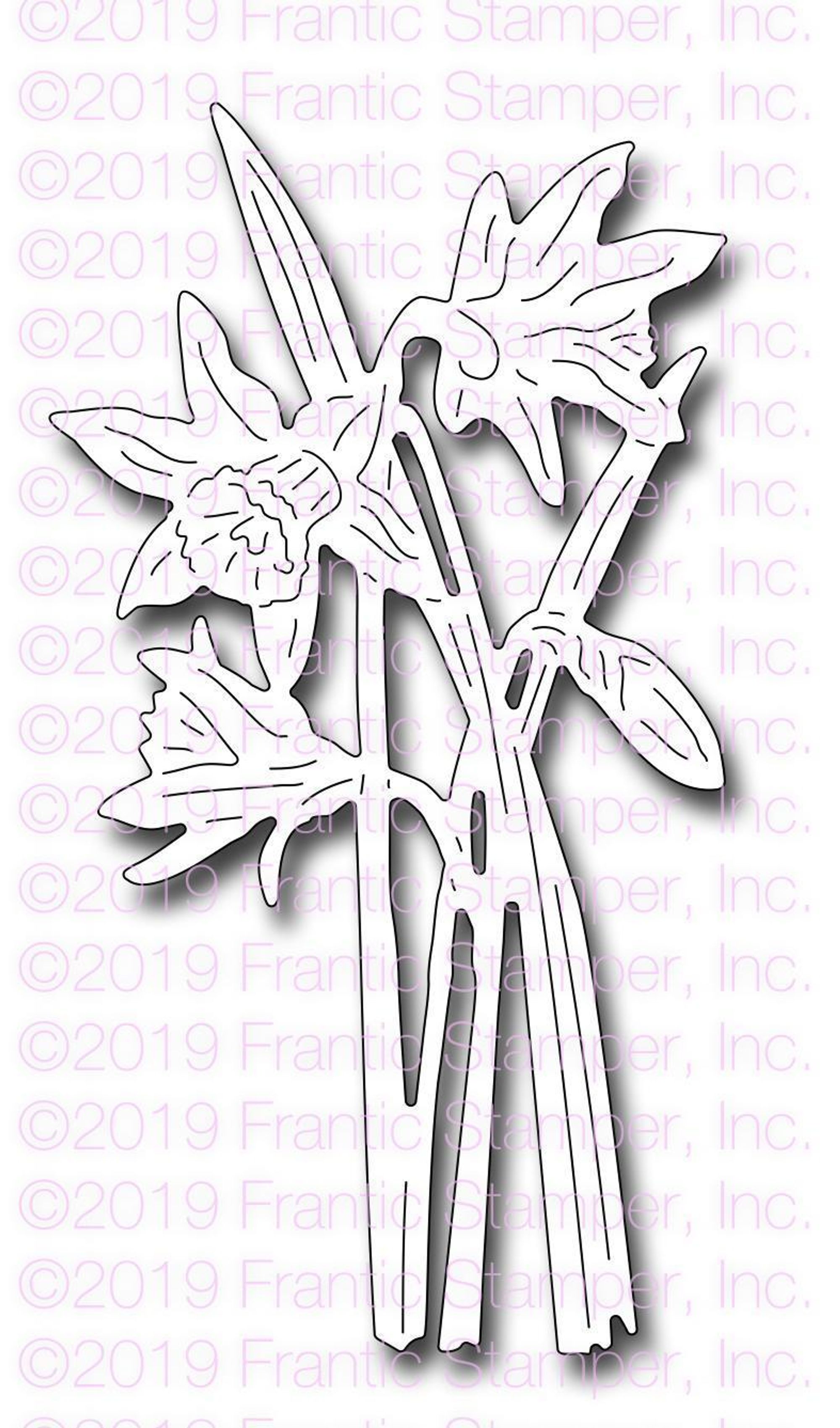 Frantic Stamper Precision Die - Botanical Daffodils