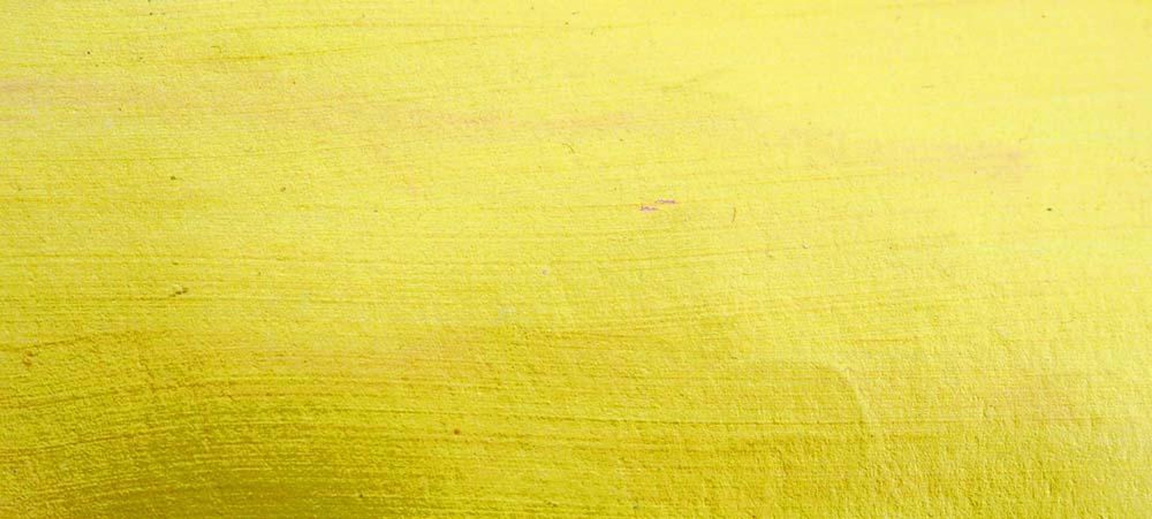 #colour_primrose yellow