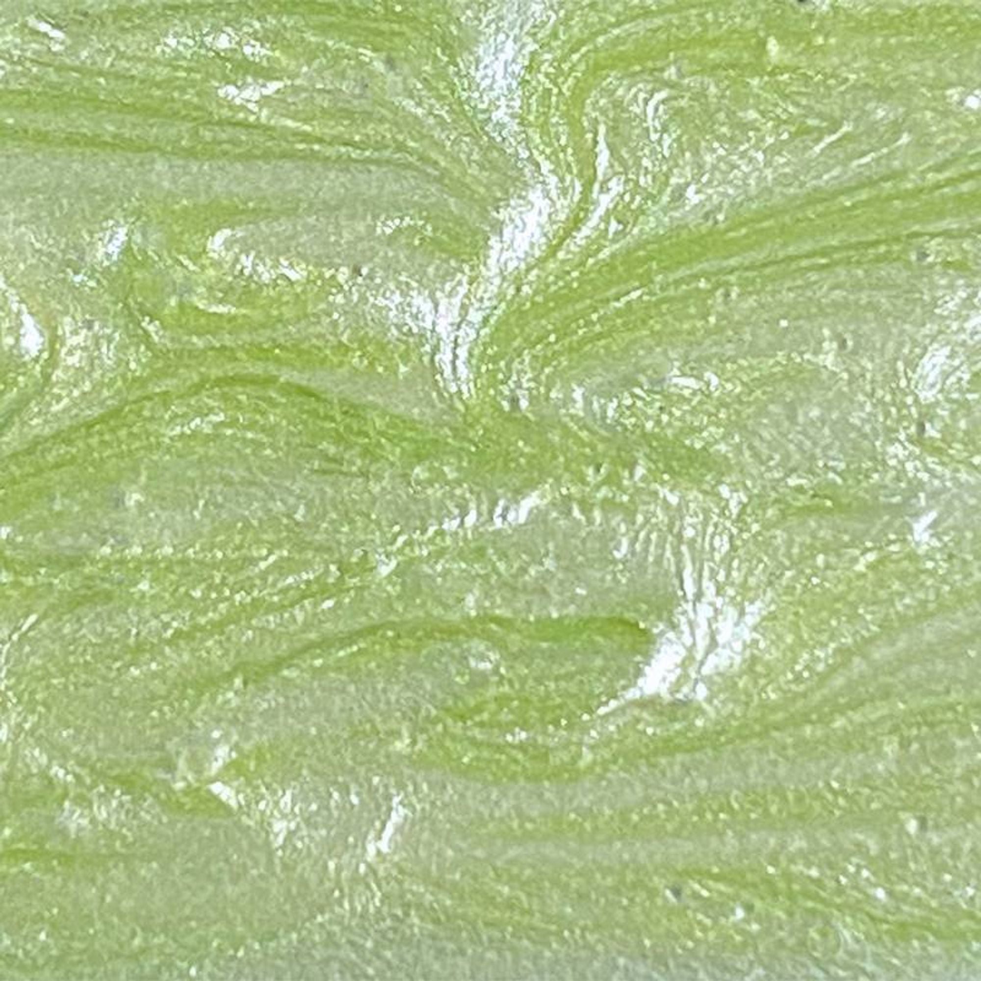 #colour_glacial green