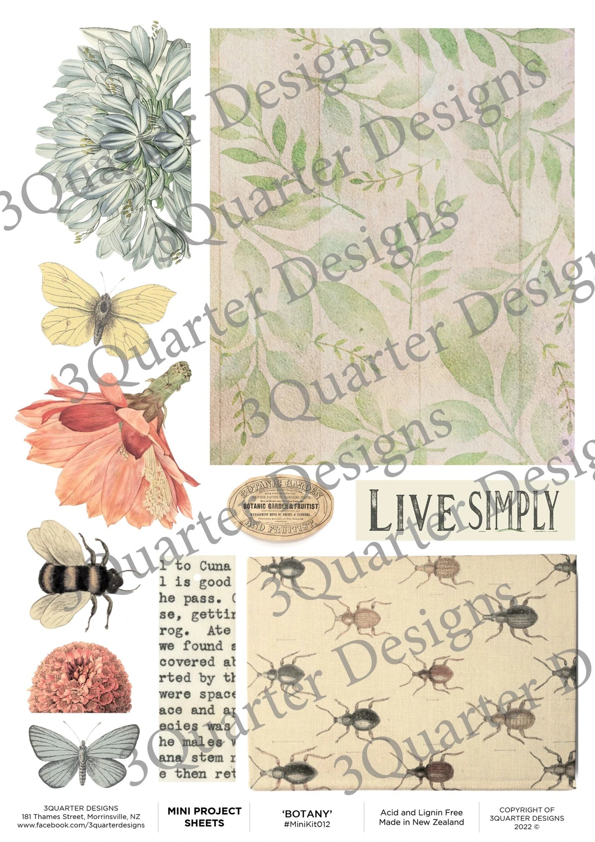 3Quarter Designs - Mini Project Sheet - Botany