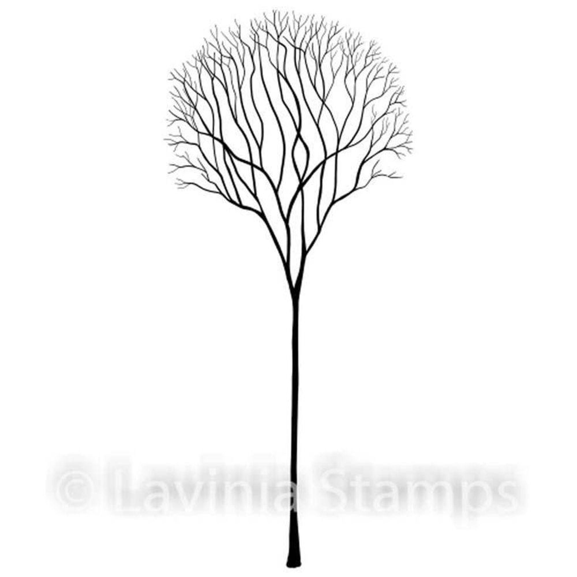 Lavinia Stamp - Skeleton Tree