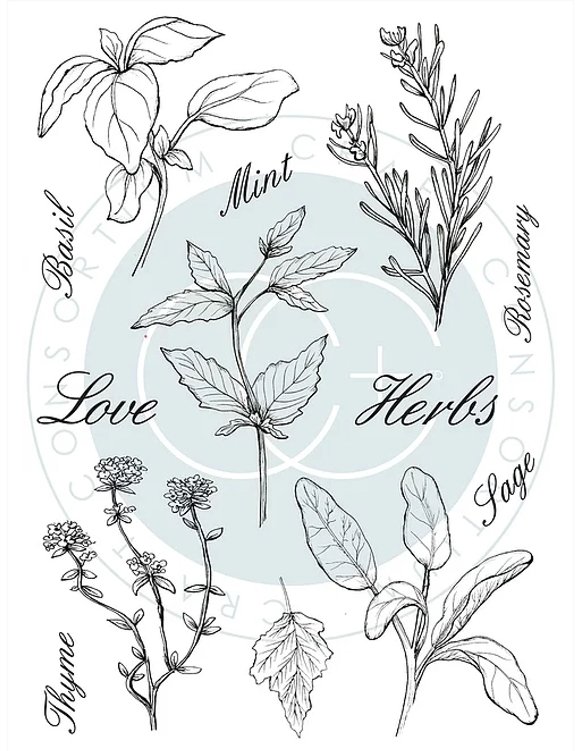 The Herbarium - Clear Stamp Set - Herbs