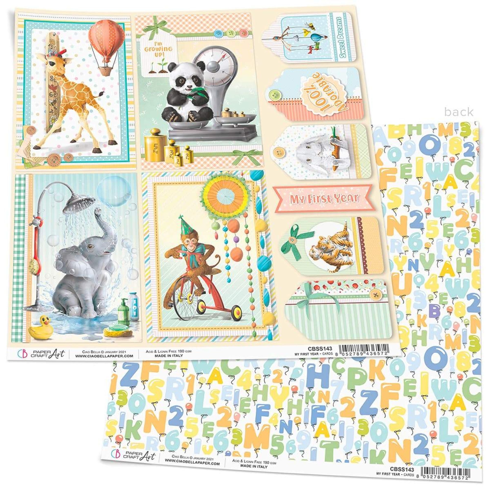 Ciao Bella My First Year Cards Paper Sheet 12"x12" 1 Sheet