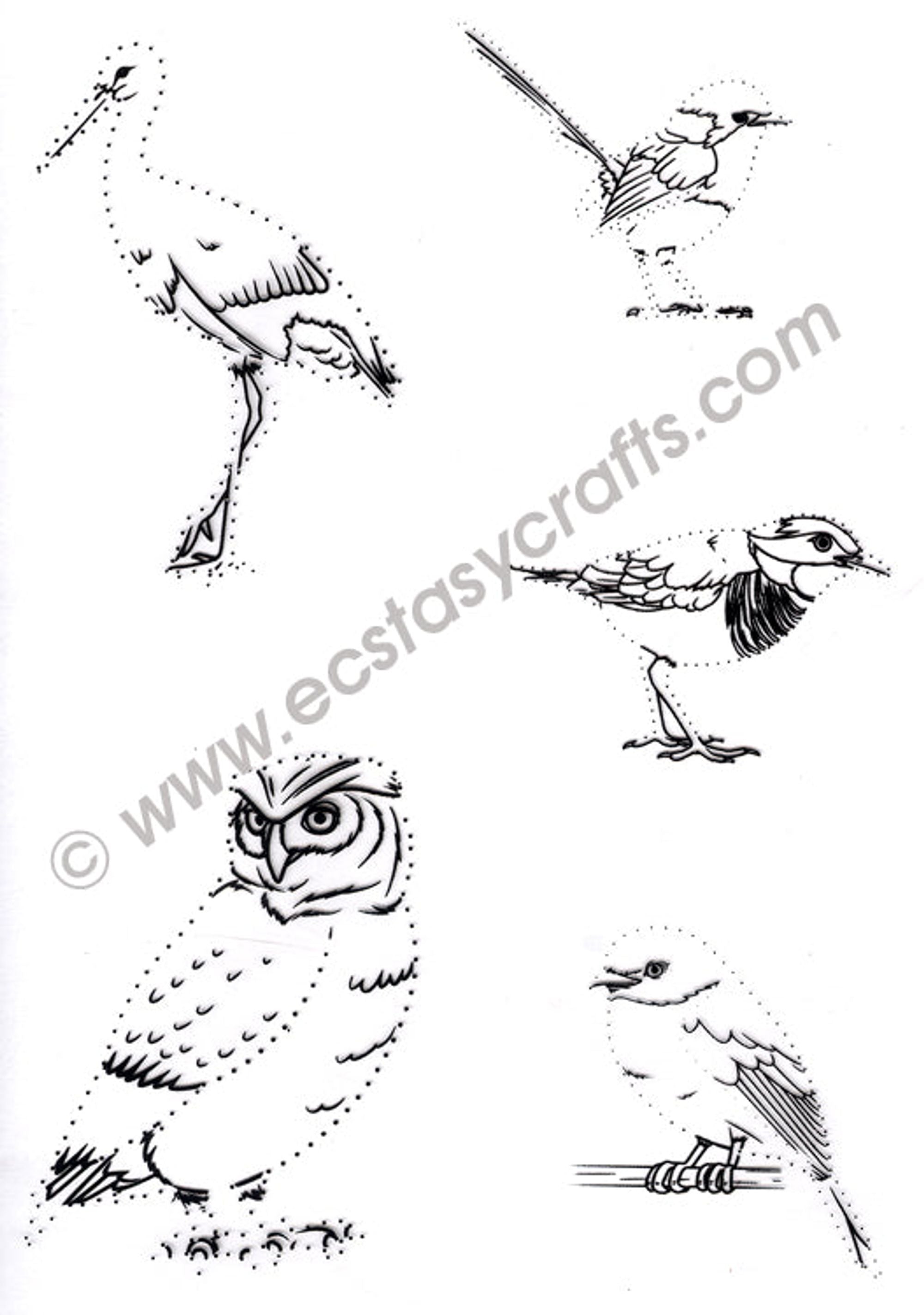 Joy Crafts - Clear Stamp Set - Dot-O-Lines Birds