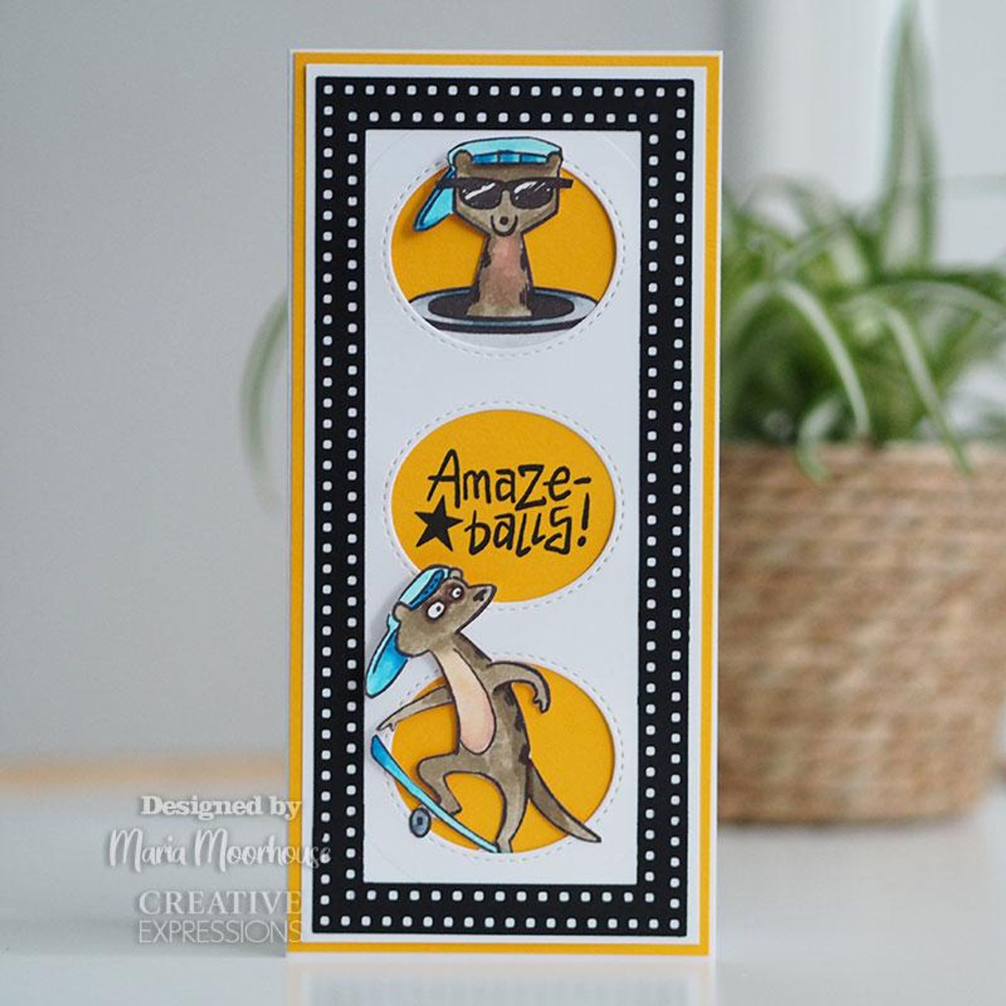 Creative Expressions Designer Boutique Collection Skate-Kats A5 Clear Stamp