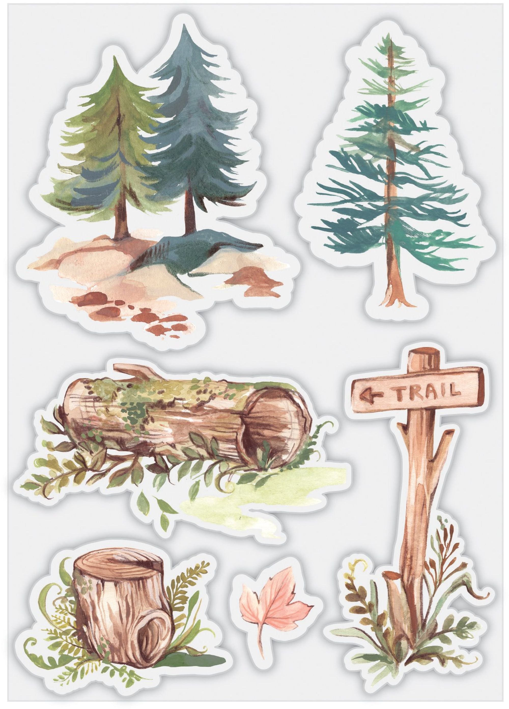 In The Forest - Stamp Set - In the Forest