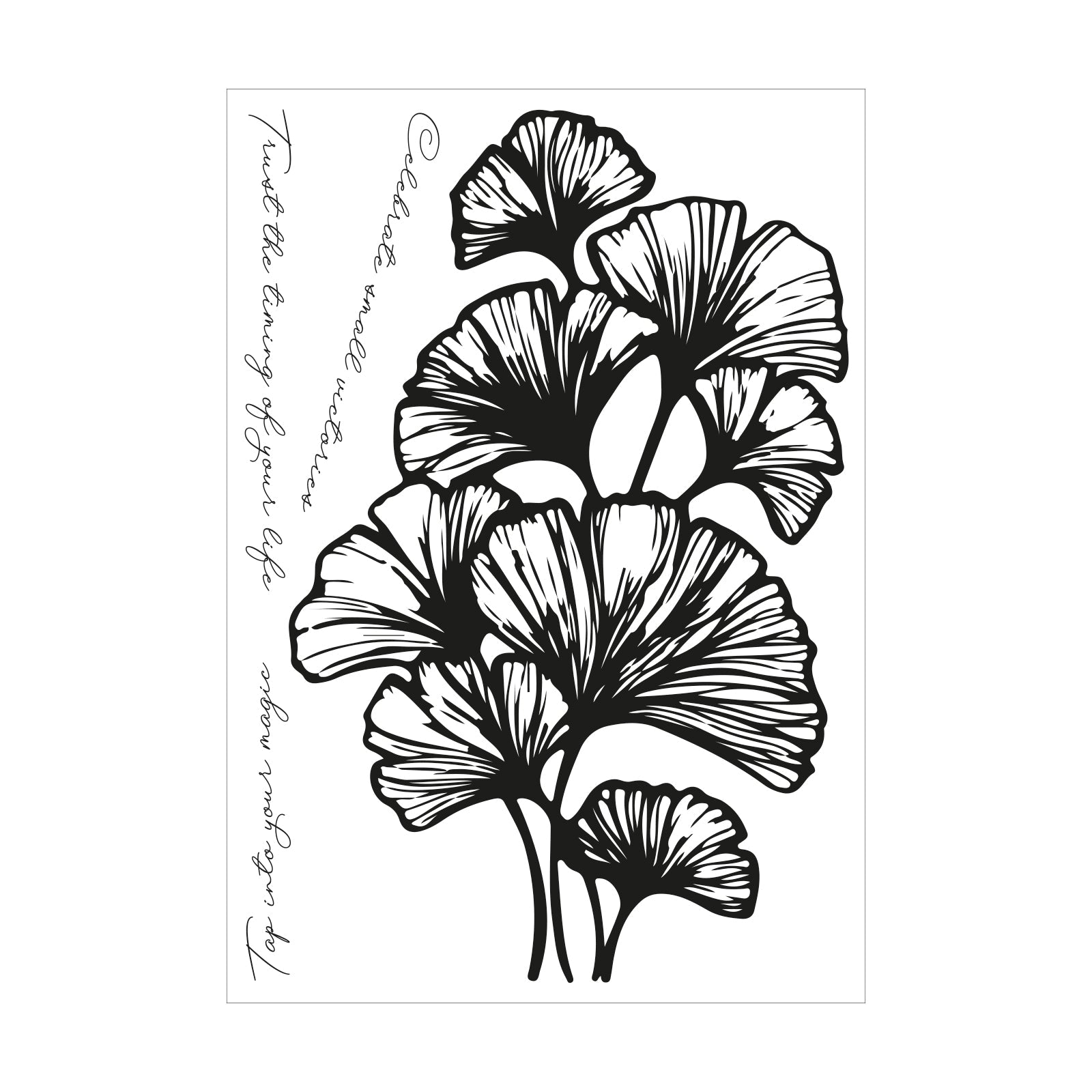 Sizzix Clear Stamps Set 4PK Cosmopolitan, Inspire by Stacey Park