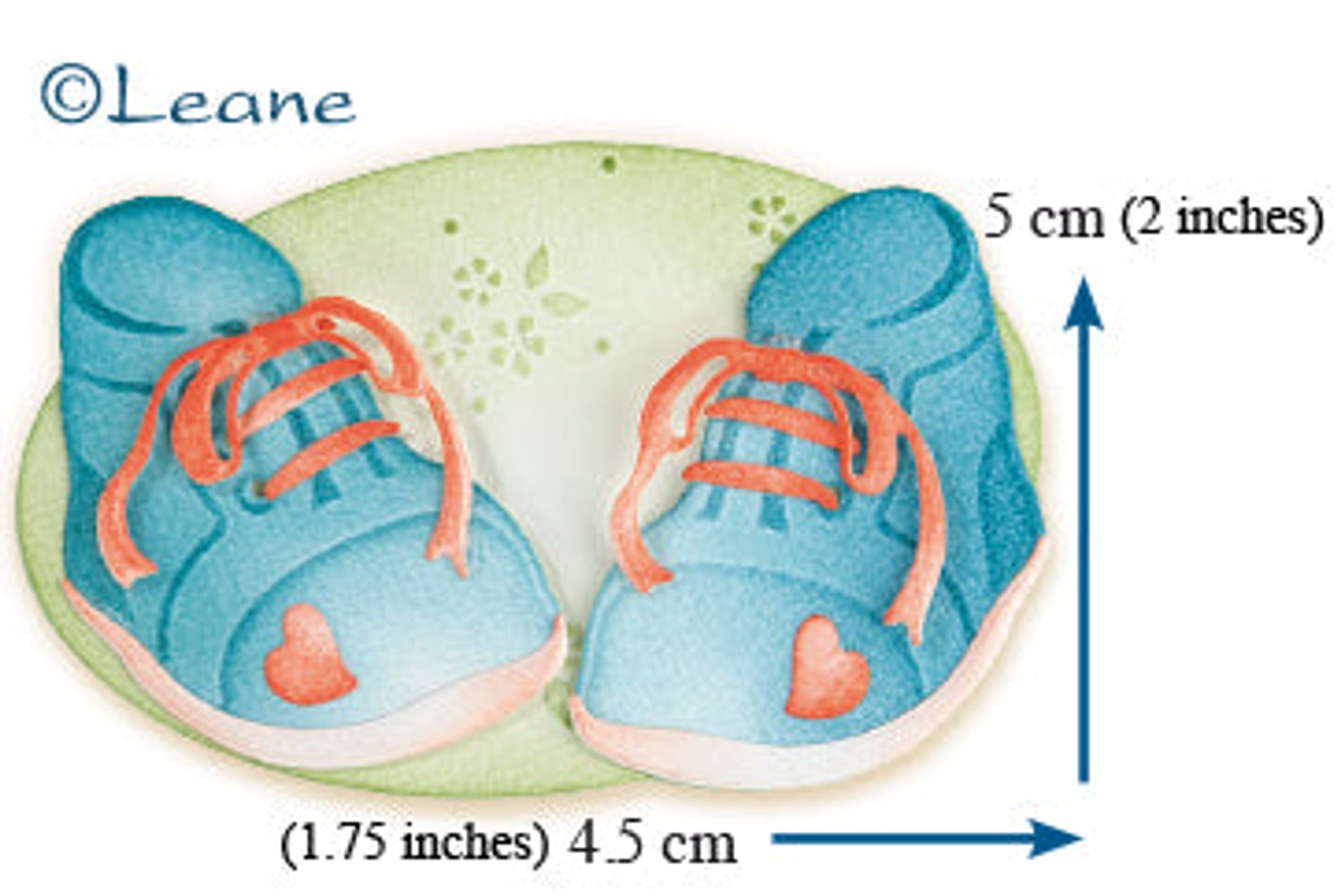 Lea'bilities Die - Baby Shoes