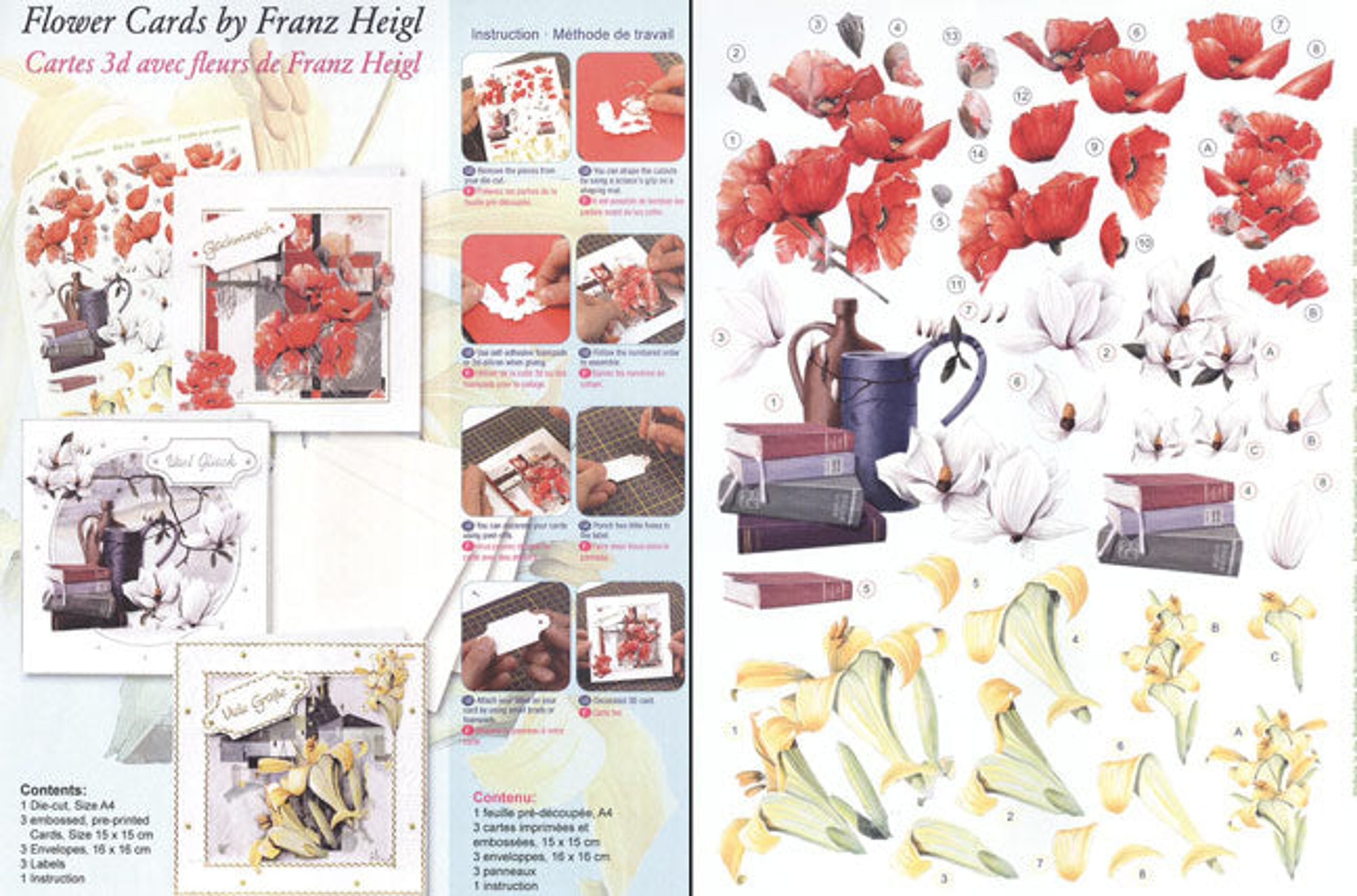 Card Kit- 3D Floral - Franz Heigl: 3 cards, envelopes and precut sheet