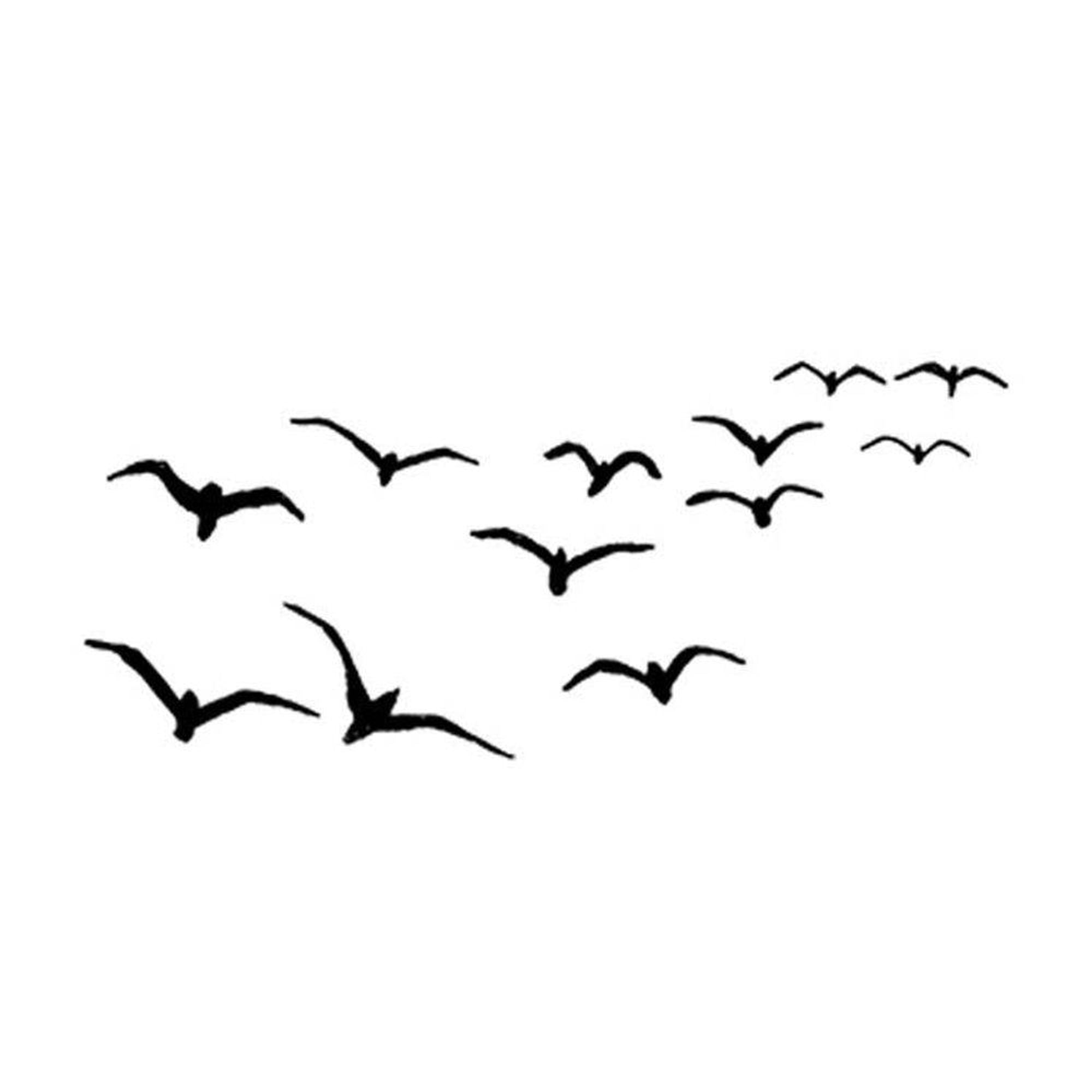 Lavinia Stamp - Birds