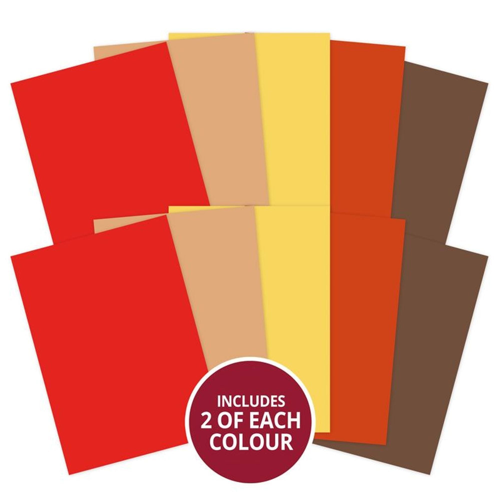 Adorable Scorable A4 Cardstock x 10 sheets - Earth Shades