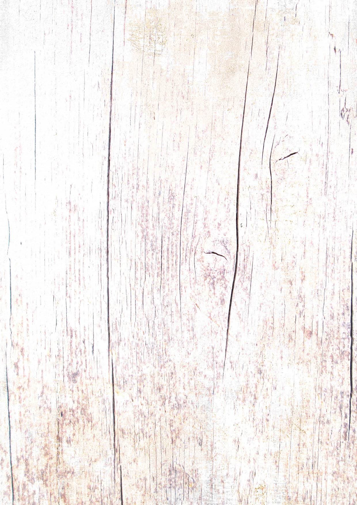 BG Paper 170gr Celebrate New Beginnings 210x297mm nr.338