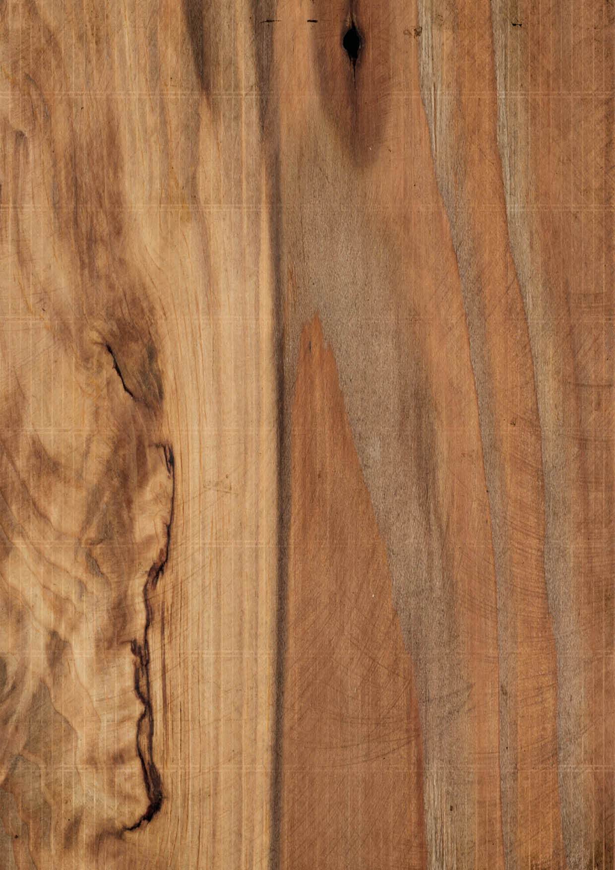 Just Lou BG Paper 170gr Butterfly Collection 210x297mm nr.15