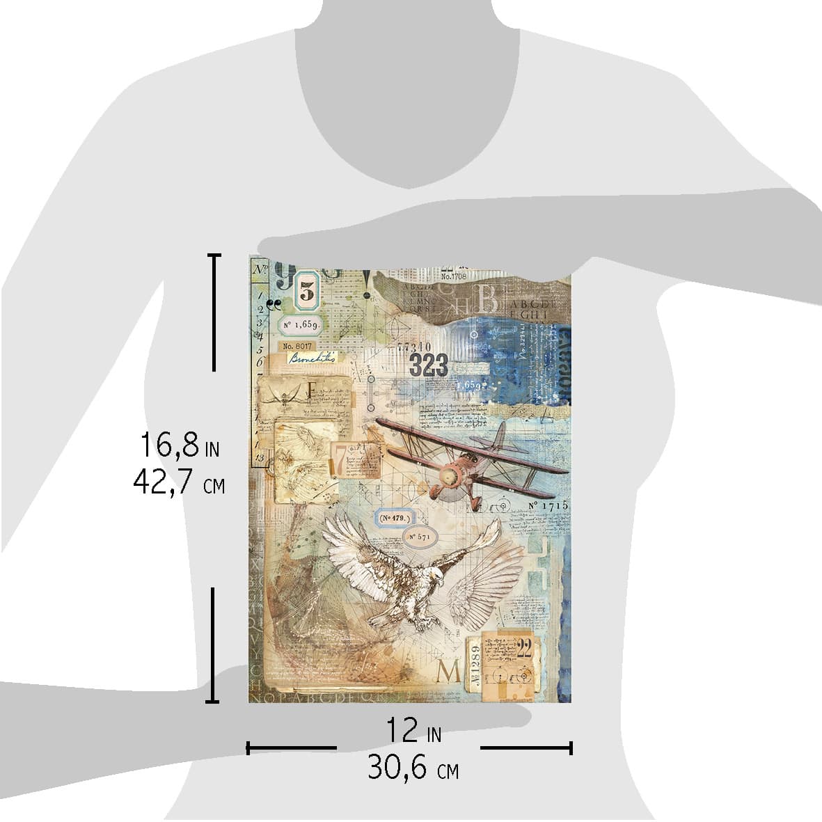 Ciao Bella Rice Paper A3 Study Of Flight - 3 Sheets