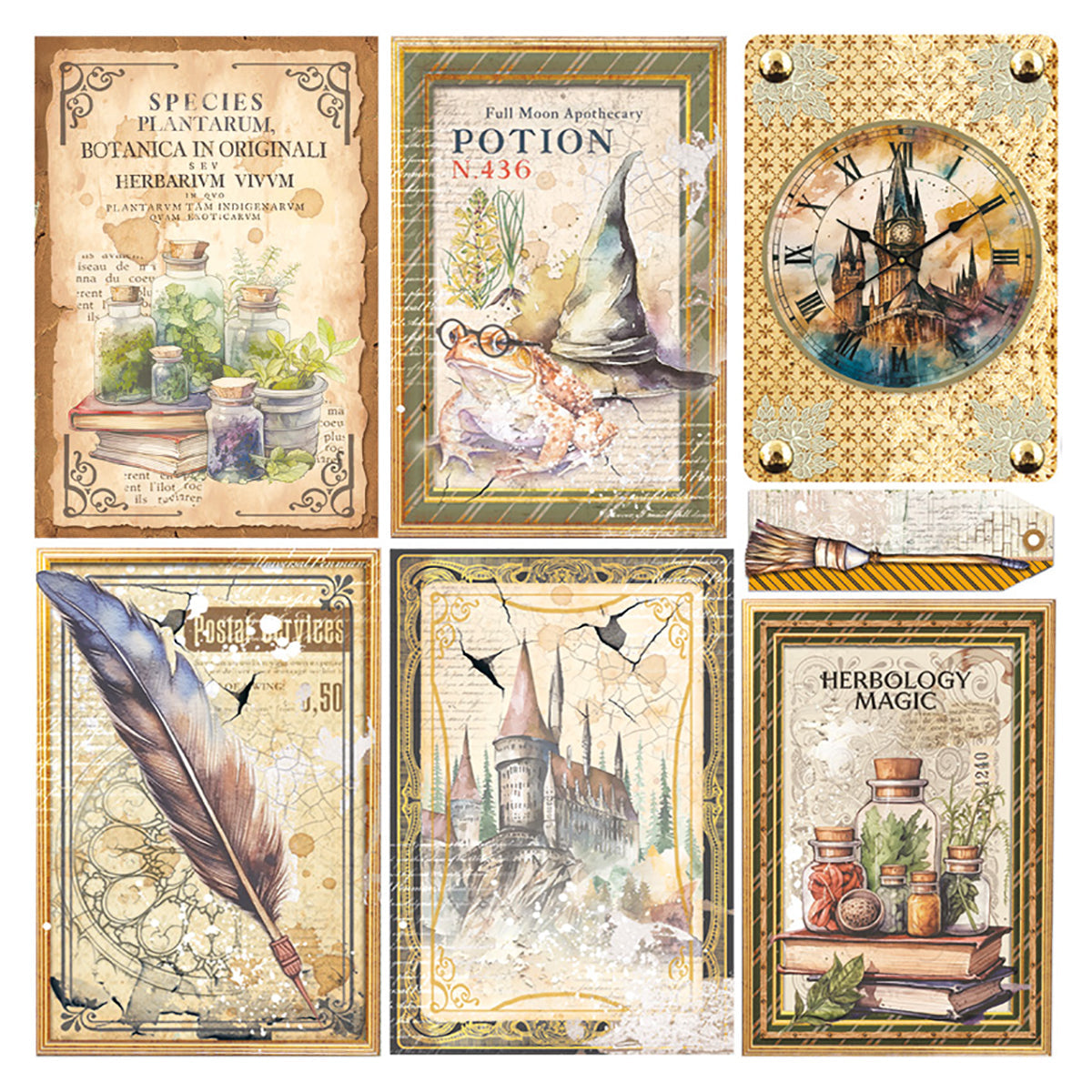 Vellum Wizard Academy Fussy Cut 6"x6" 6/Pkg