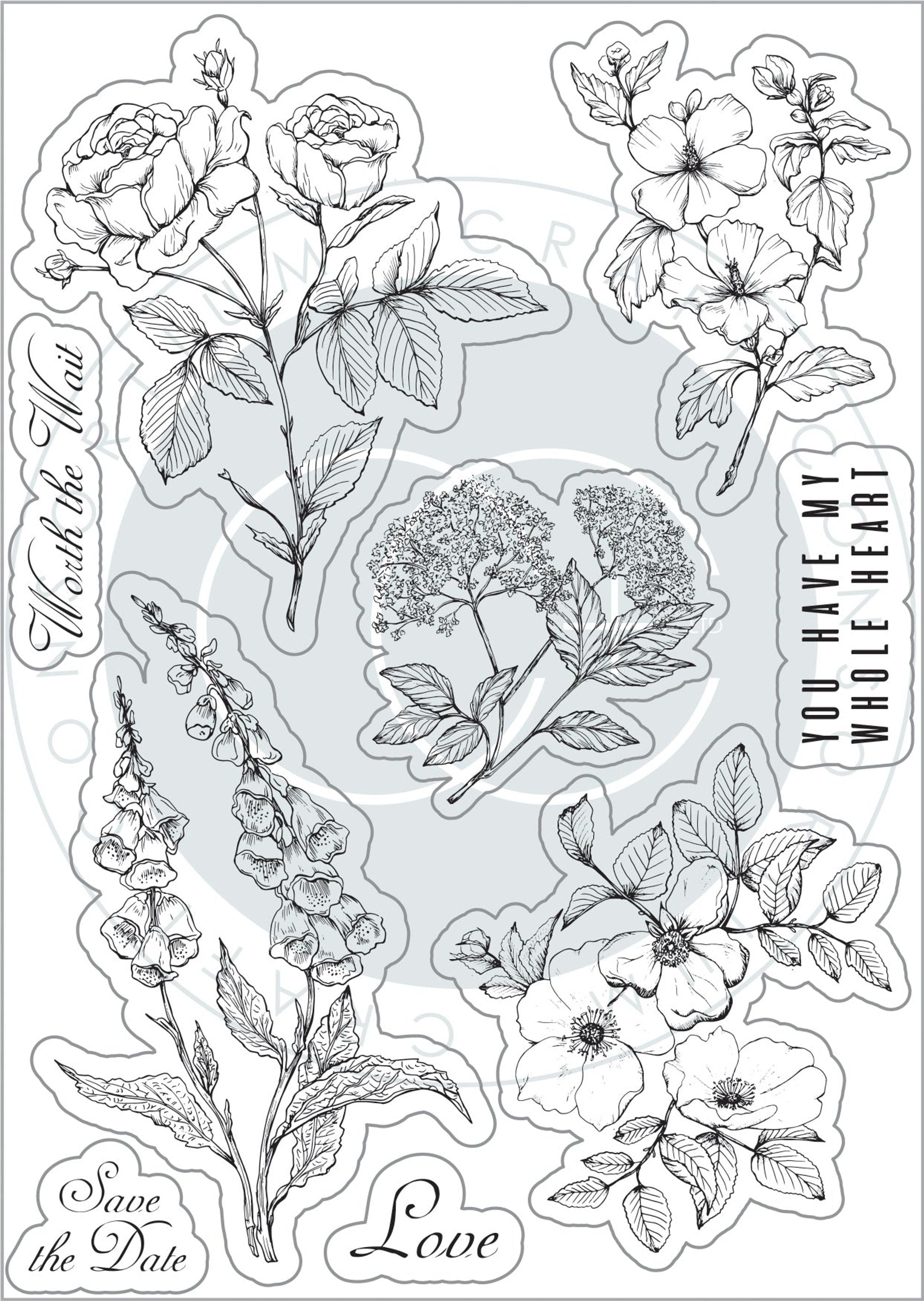Craft Consortium Belle Fleur - Stamp Set