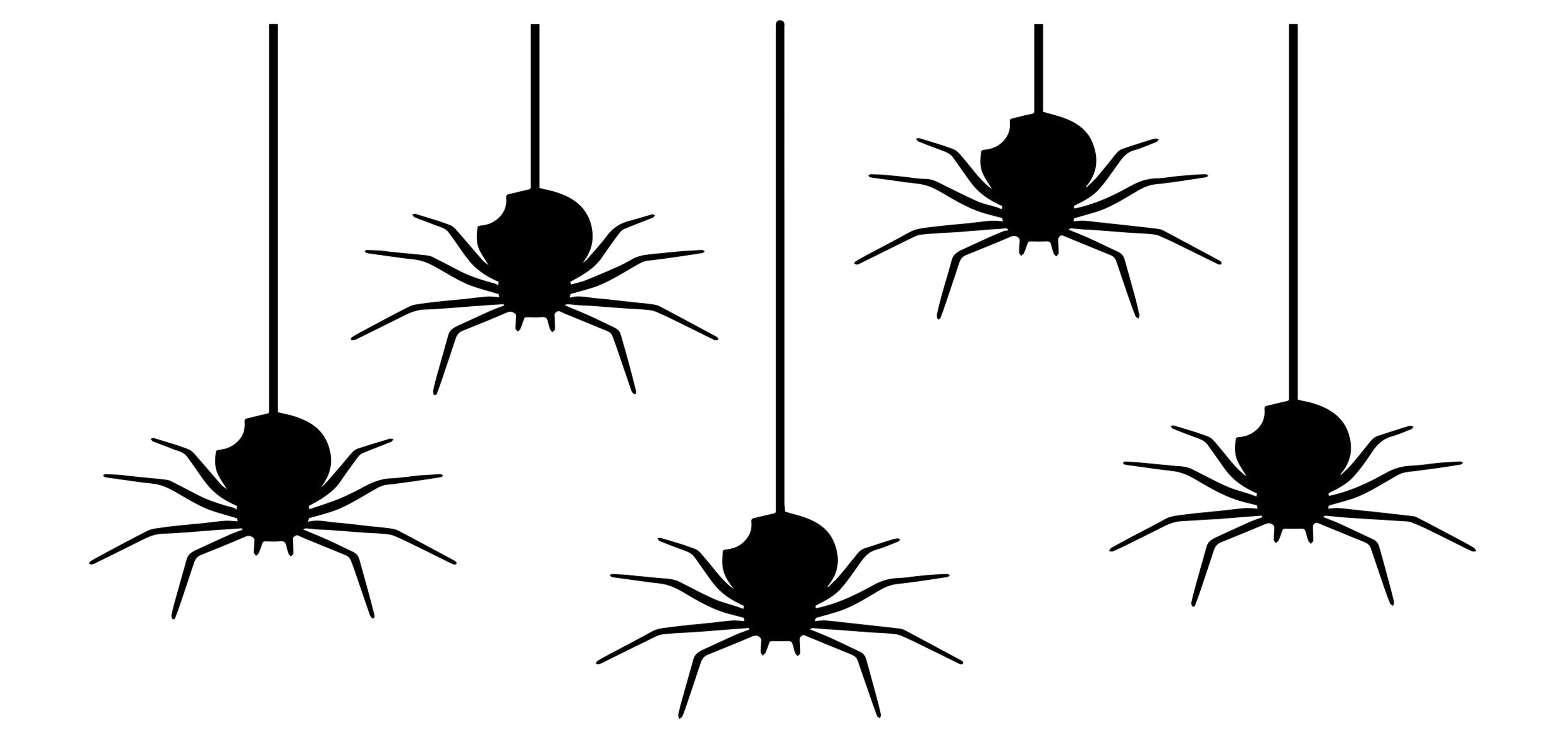 Creative Expressions Andy Skinner Spooky Spiders DL Stencil