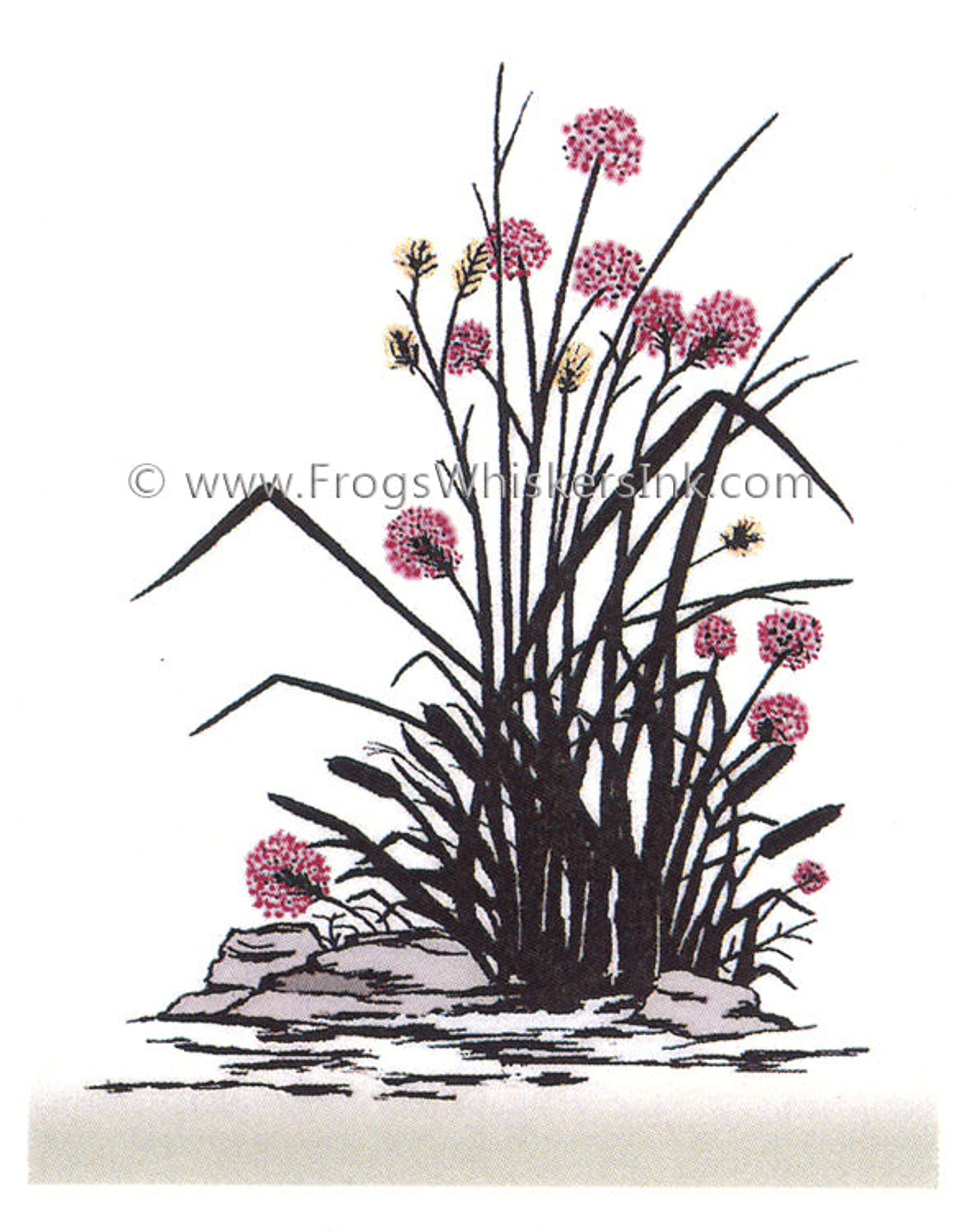 Frog's Whiskers Ink Stamp - Rocks & Flowers