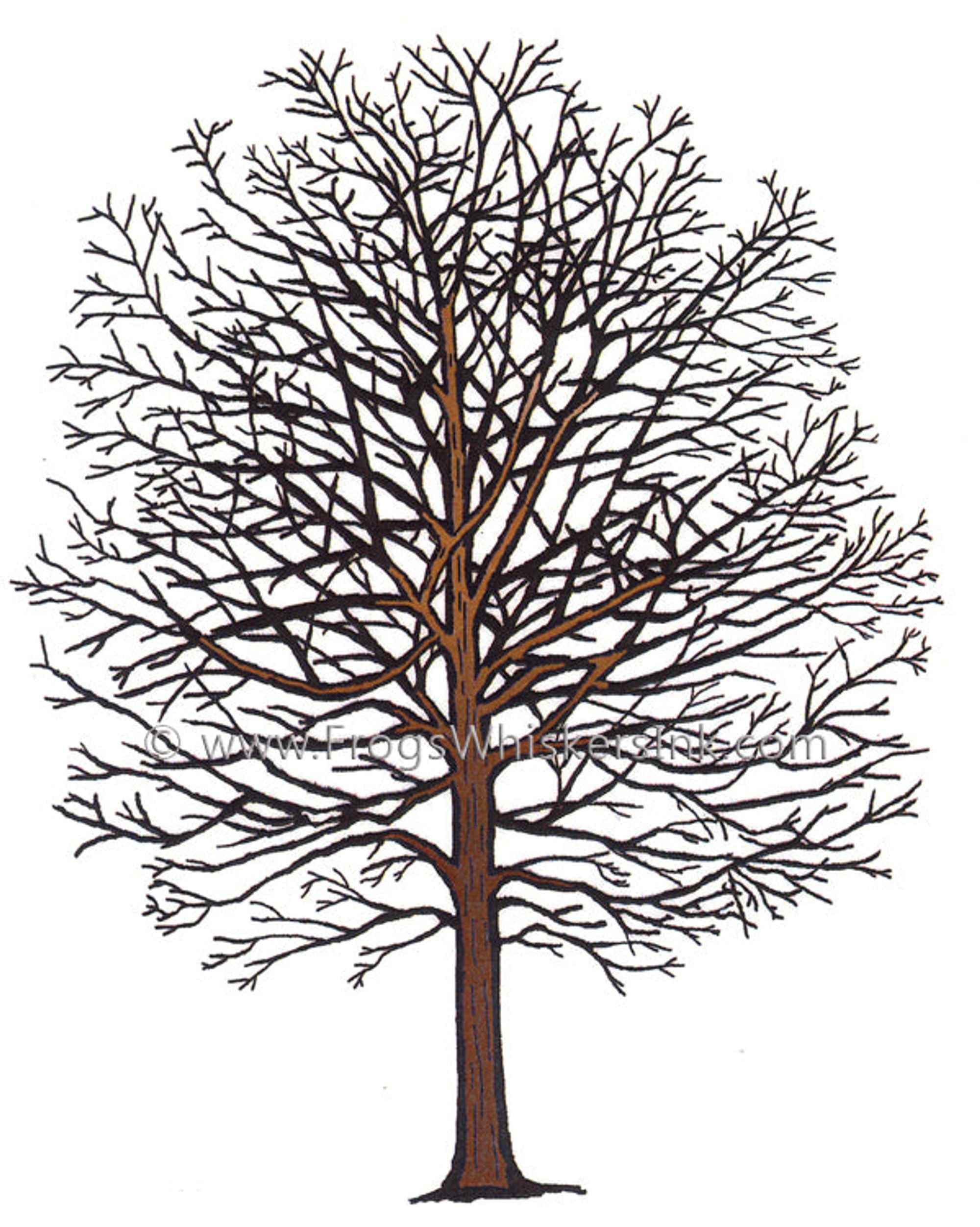 Frog's Whiskers Ink Stamp - Backyard Tree