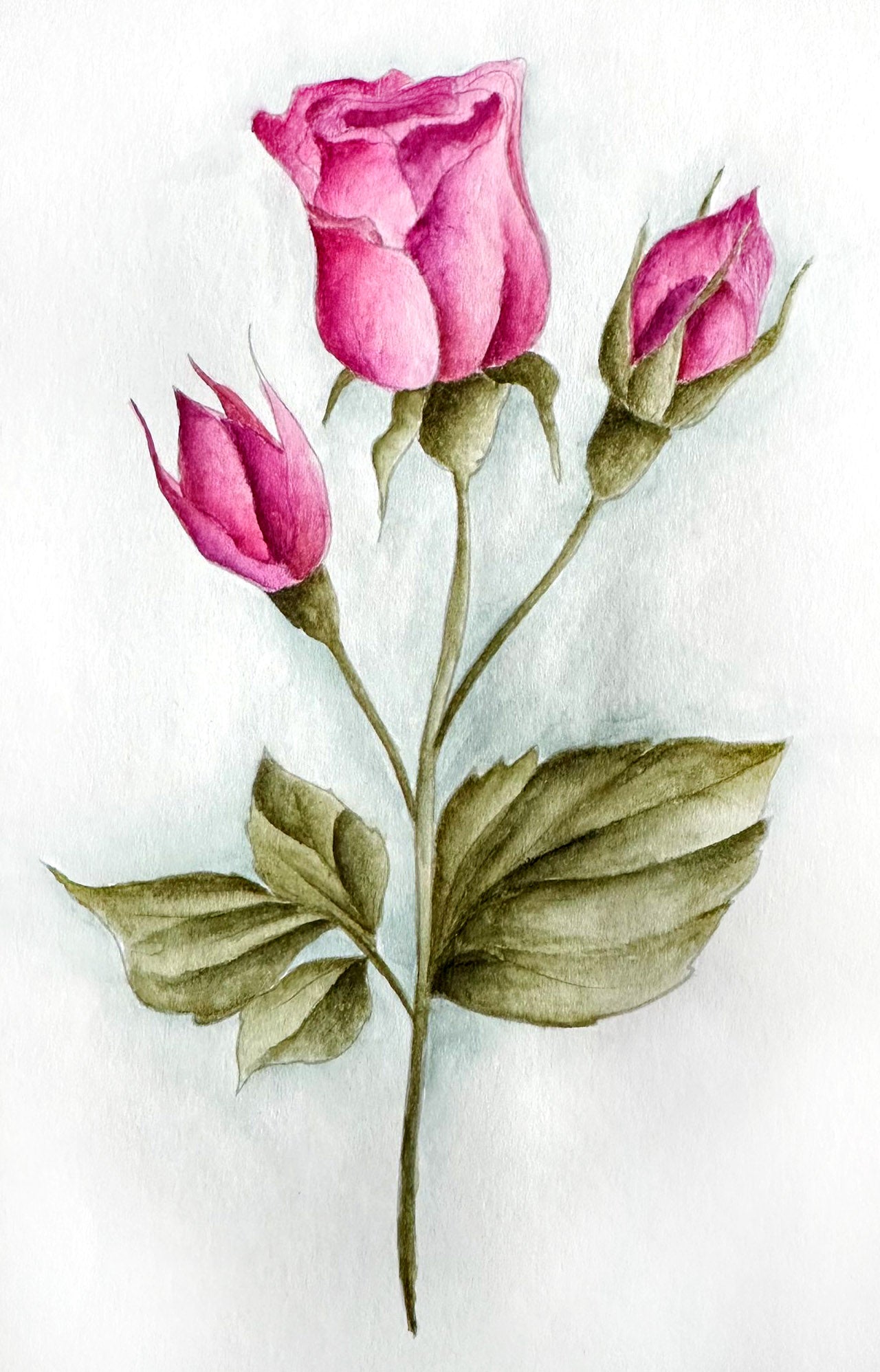 JMA Coloring Paper Pad 10x2 Flowers Essentials 20 SH