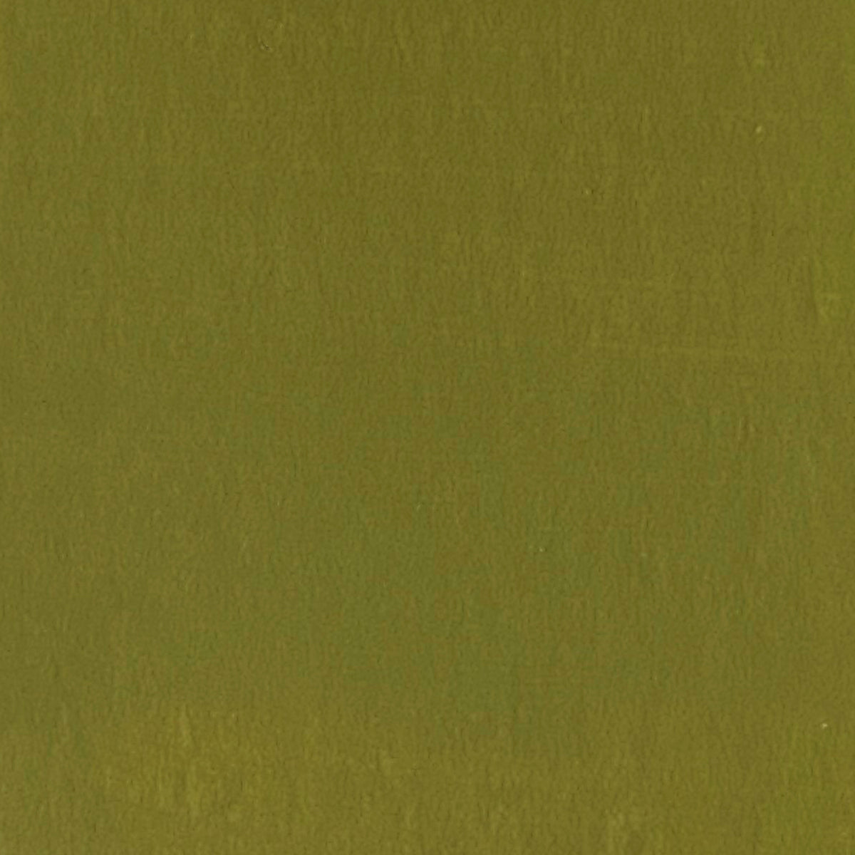 #Colour_holy guacamole