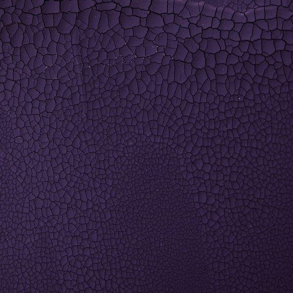 #colour_regal purple