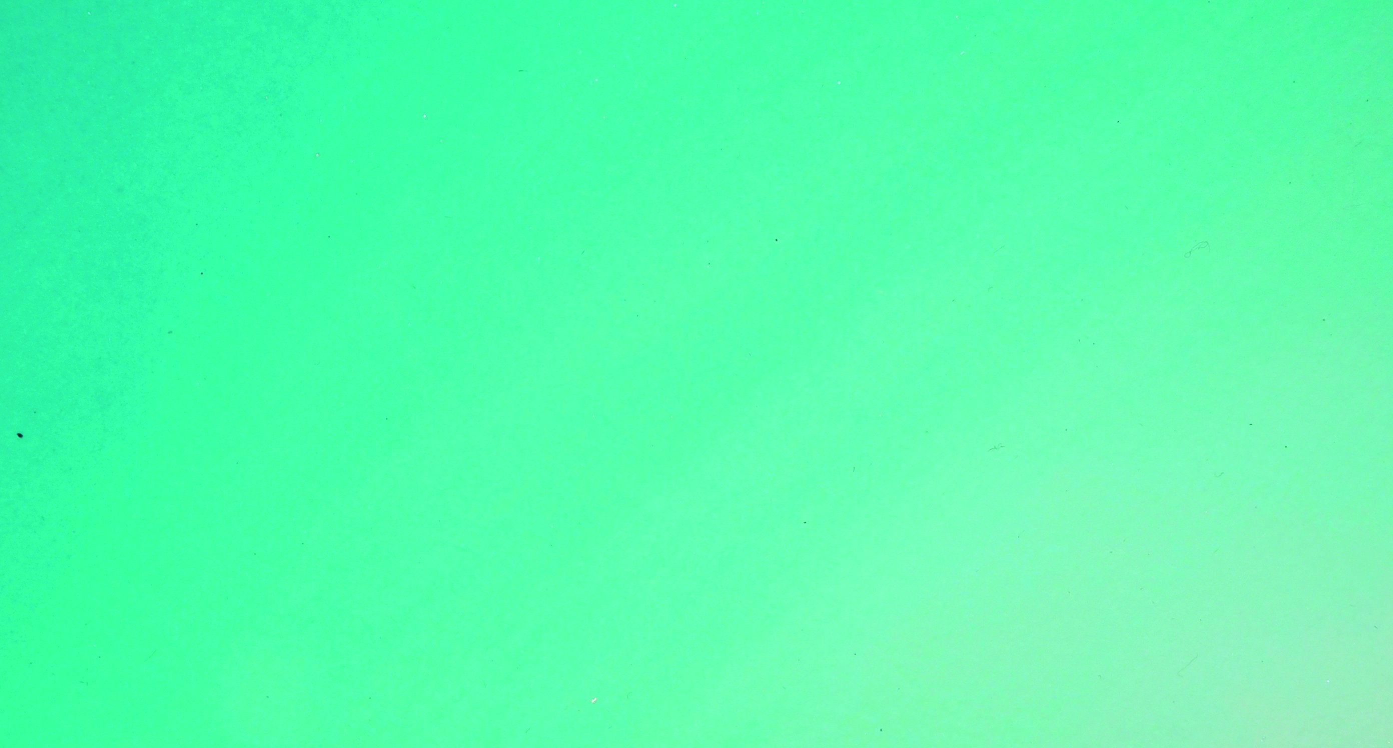 #colour_peacock teal