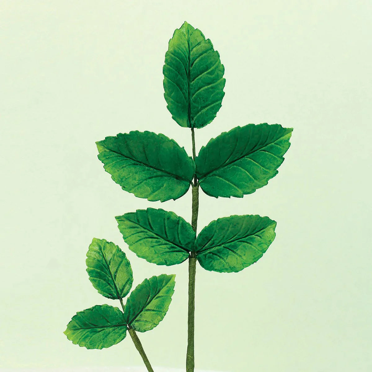 Flower Pro Leaf Cutter - Set of 4