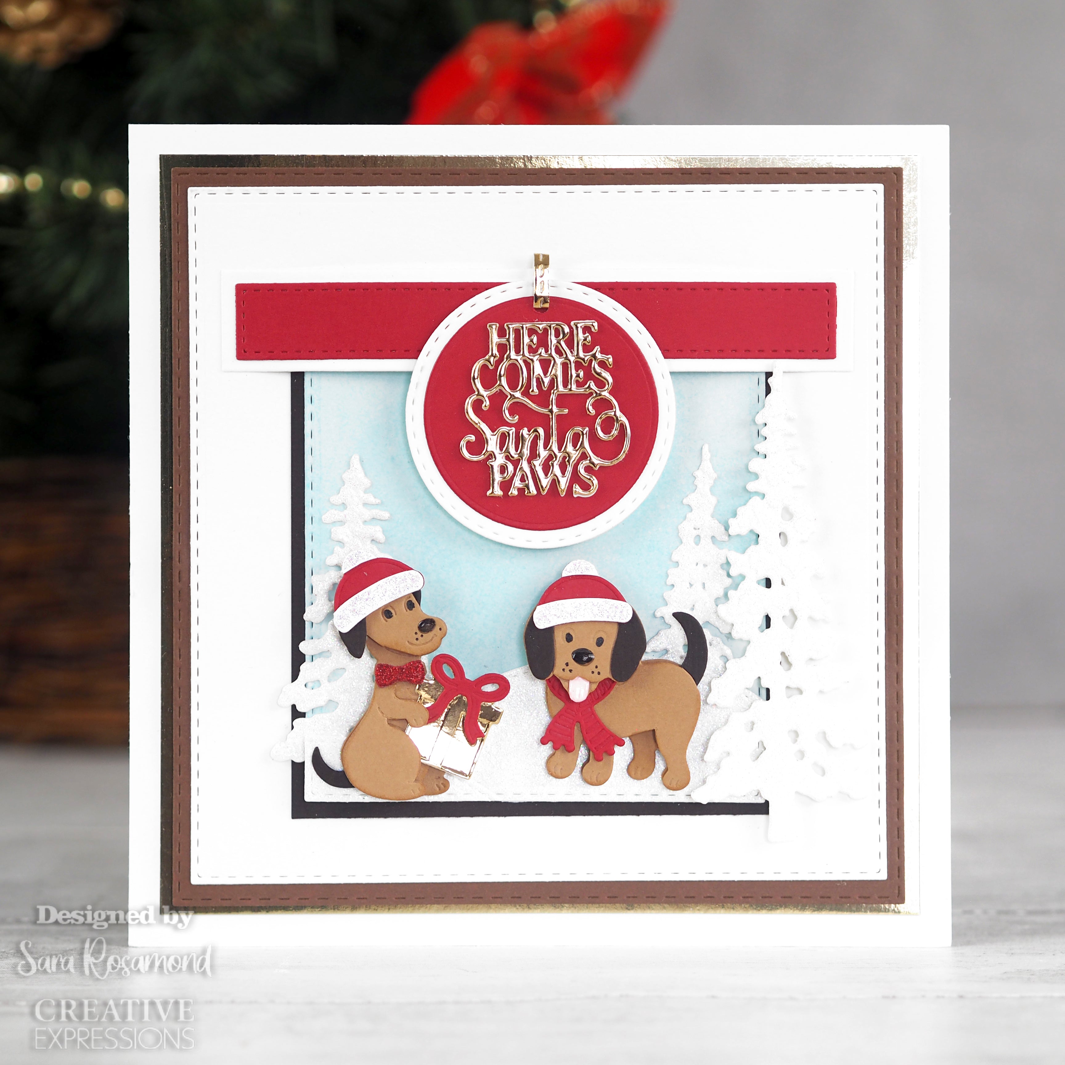 Creative Expressions Sue Wilson Santa Paws Craft Die