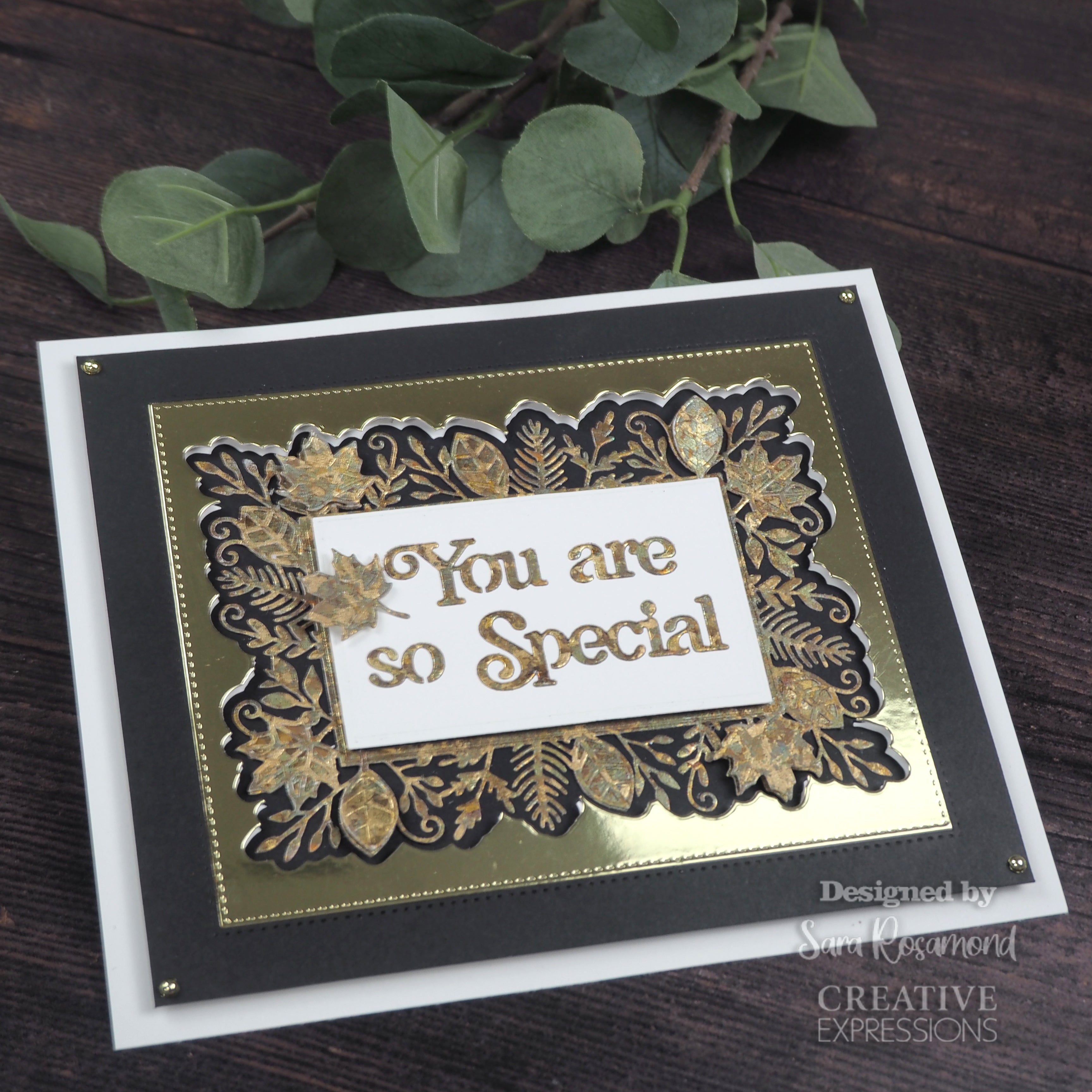 Creative Expressions Sue Wilson Frames & Tags Leafy Rectangle Craft Die