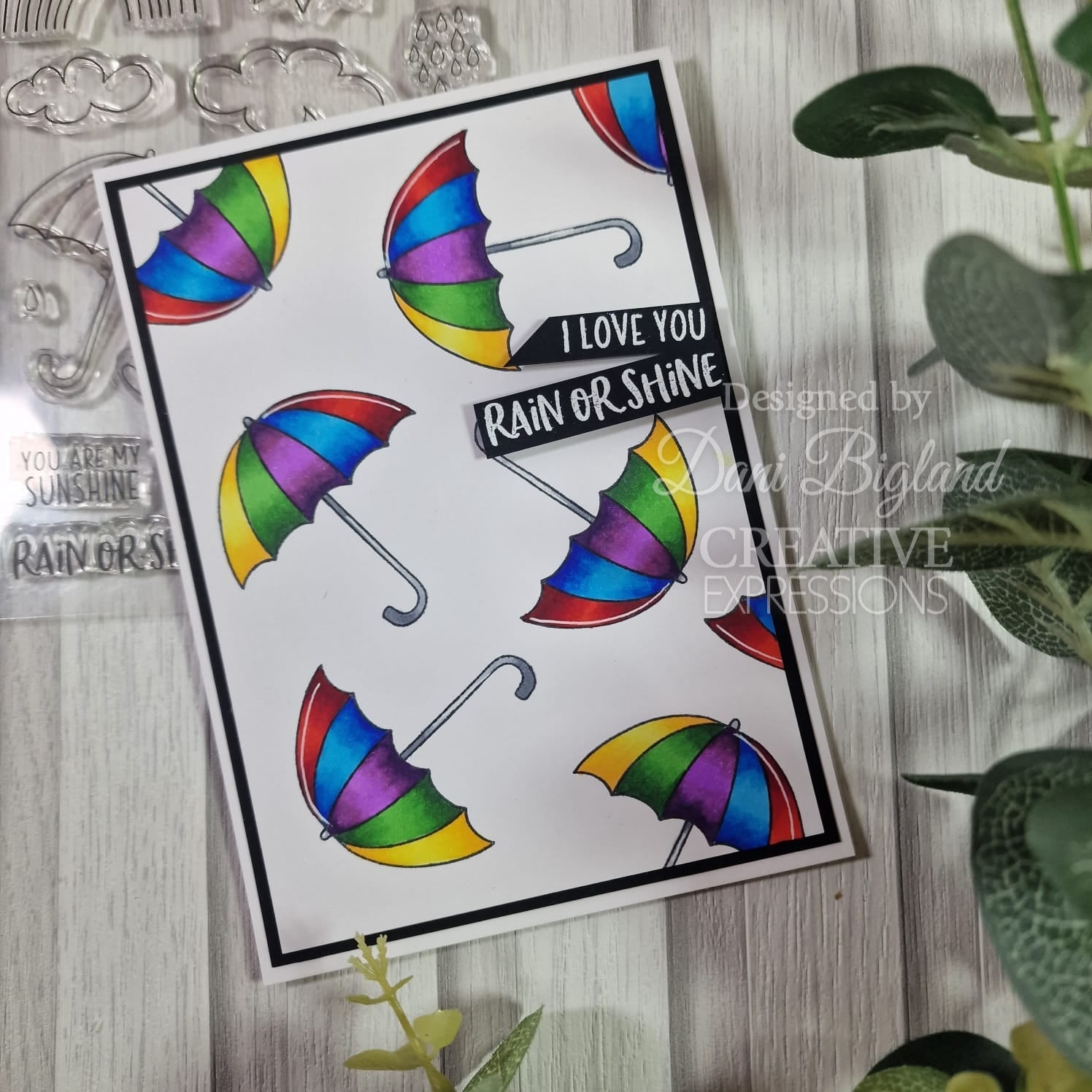 Creative Expressions Jane's Doodles Rain or Shine 4 in x 6 in Clear Stamp Set