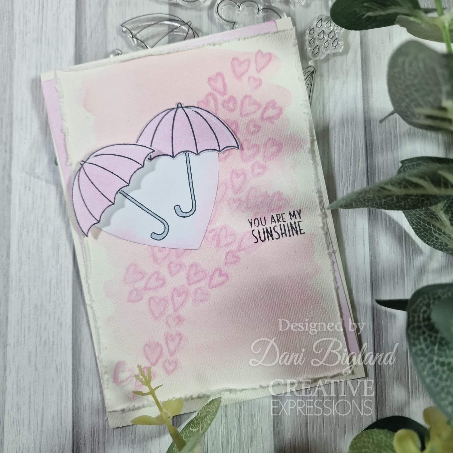 Creative Expressions Jane's Doodles Rain or Shine 4 in x 6 in Clear Stamp Set