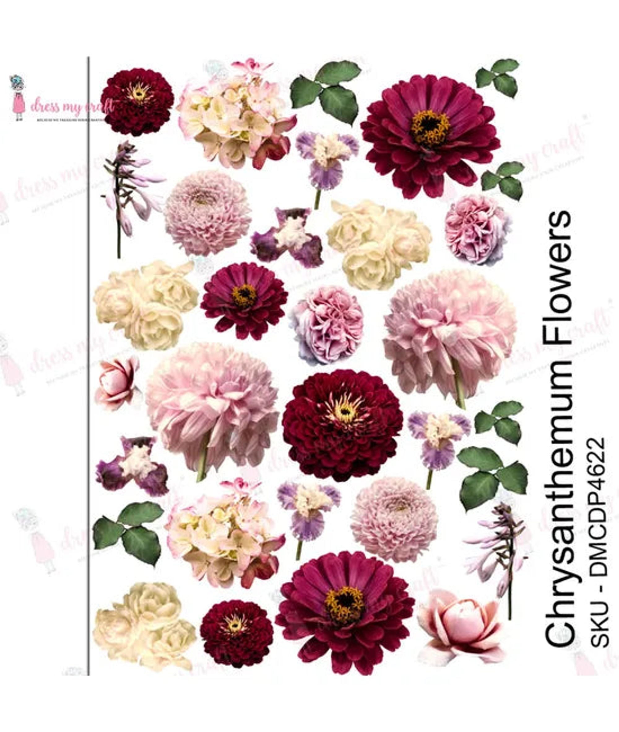 Dress My Craft Transfer Me - Chrysanthemum Flowers