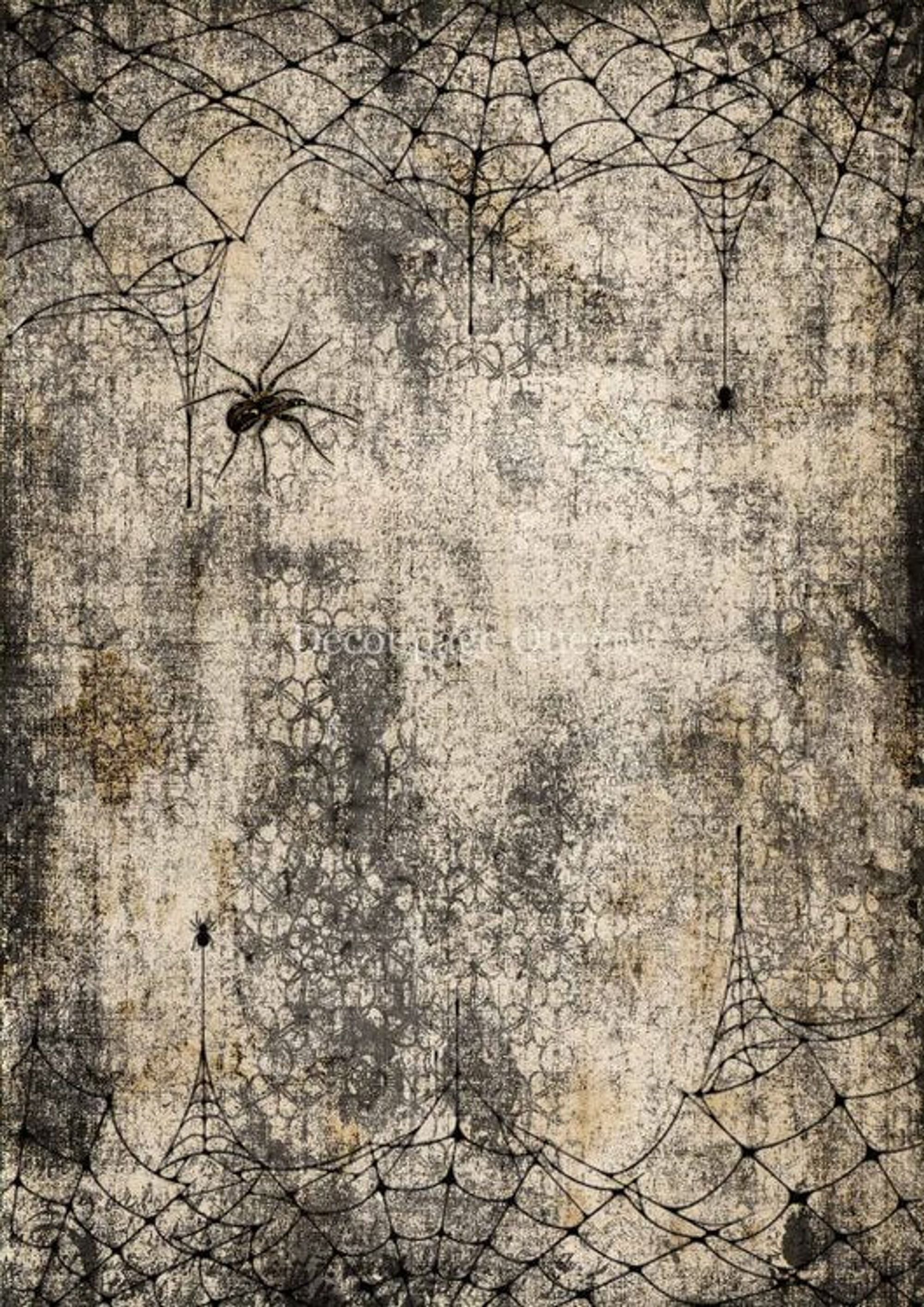 Webs and Spiders A4 Rice Paper - 5 Sheets