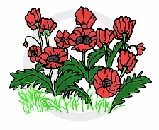 Frog's Whiskers Ink Stamp - Wild Poppies
