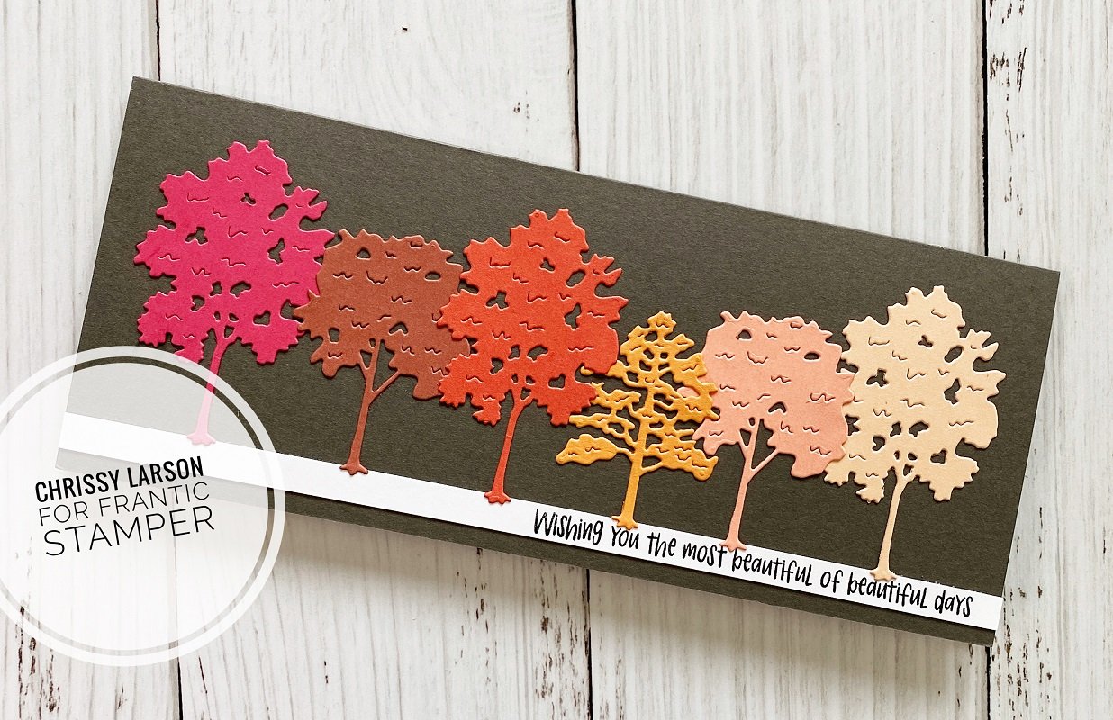 Frantic Stamper Clear Stamp Set - Florals And Greetings